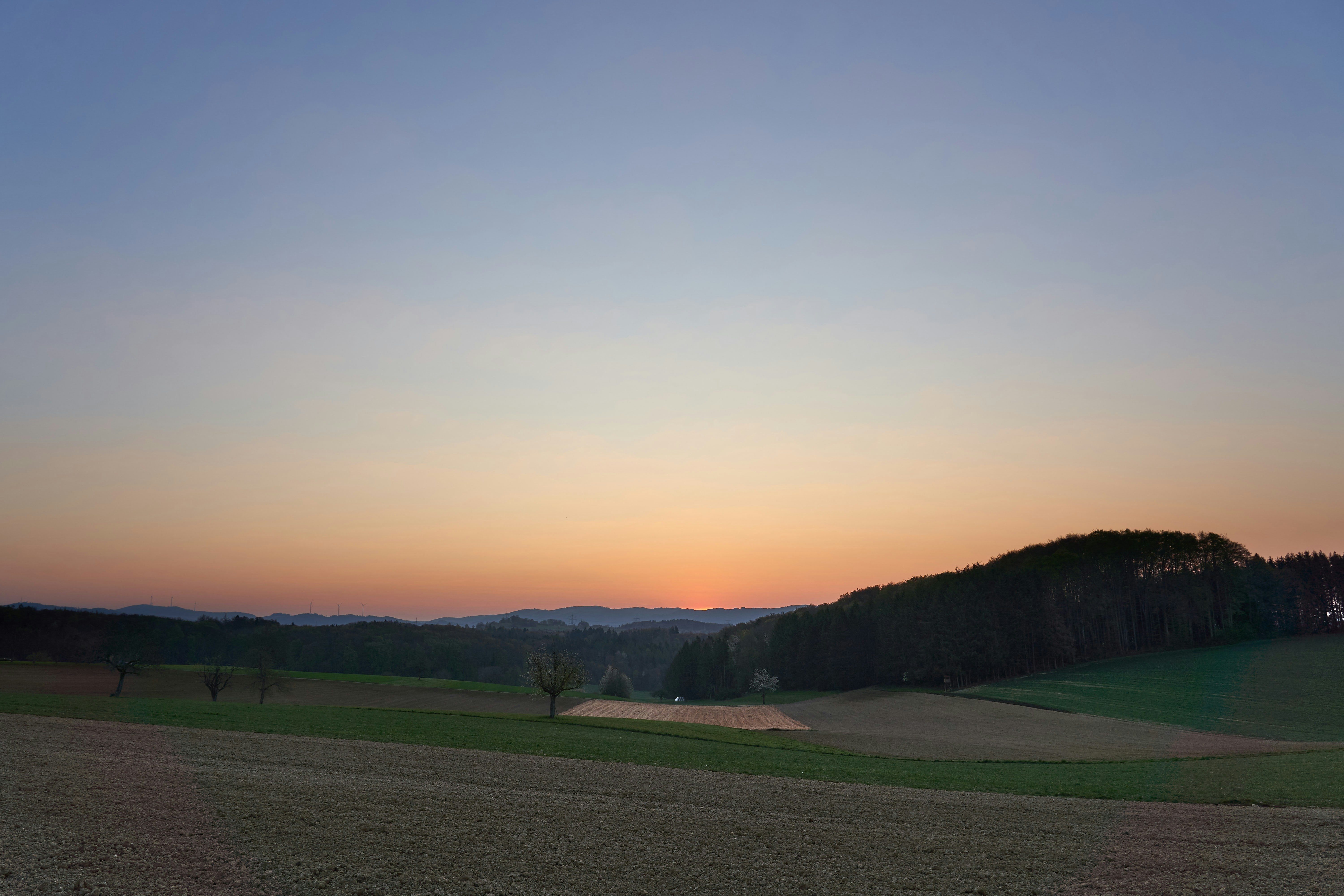 Photo by wolfgang_hasselmann