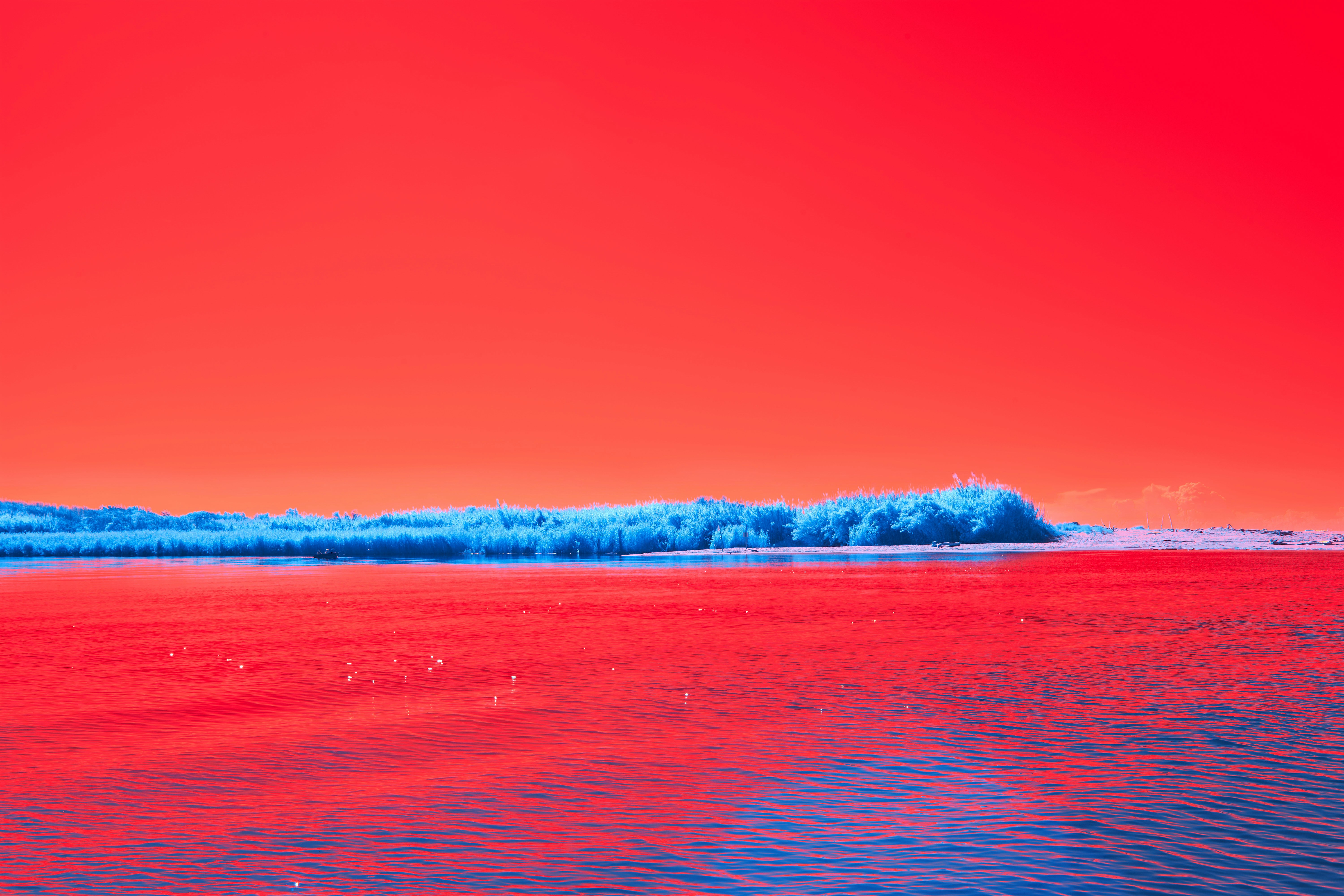 Photo by wolfgang_hasselmann