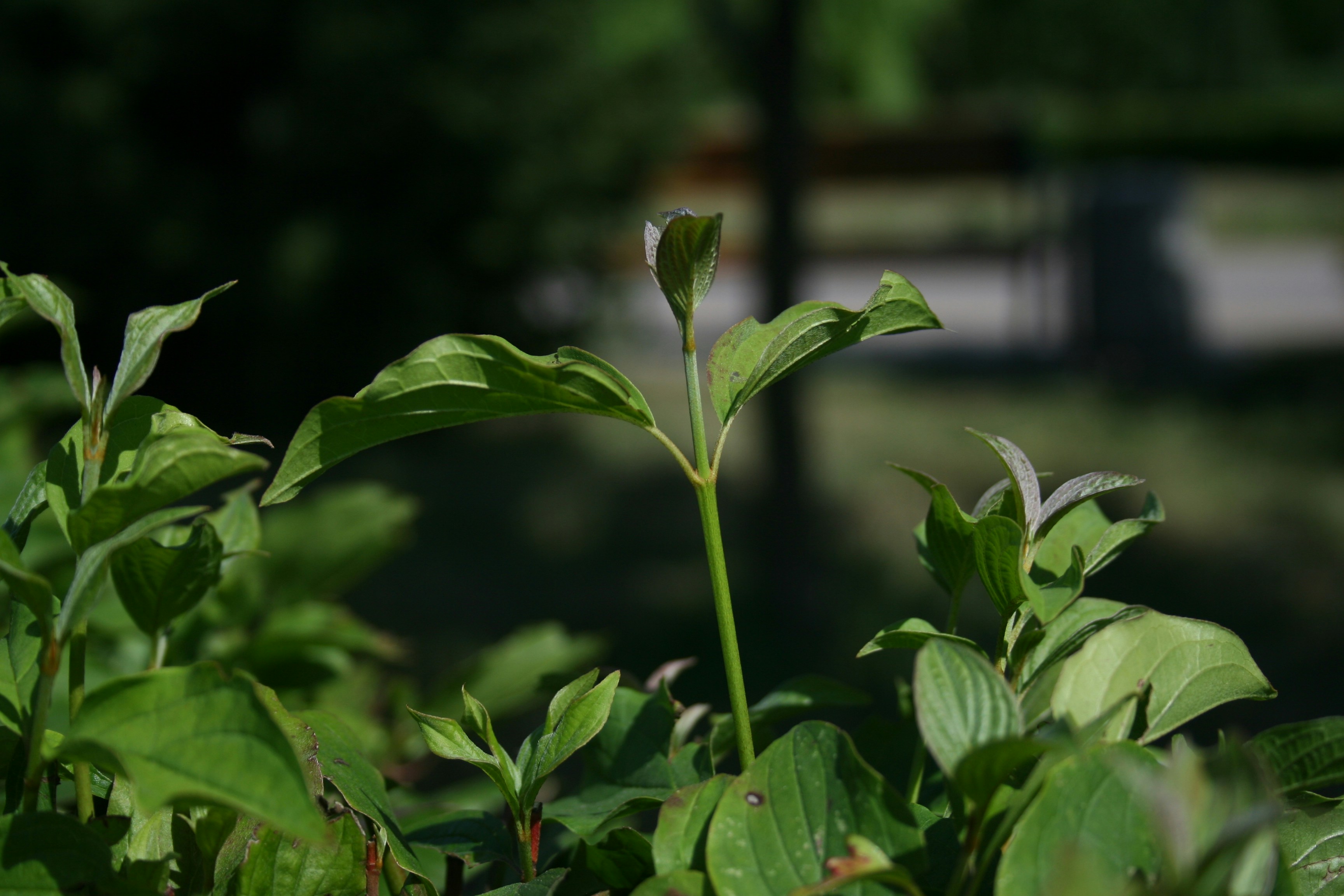 Photo by darrrrr_yaaaa