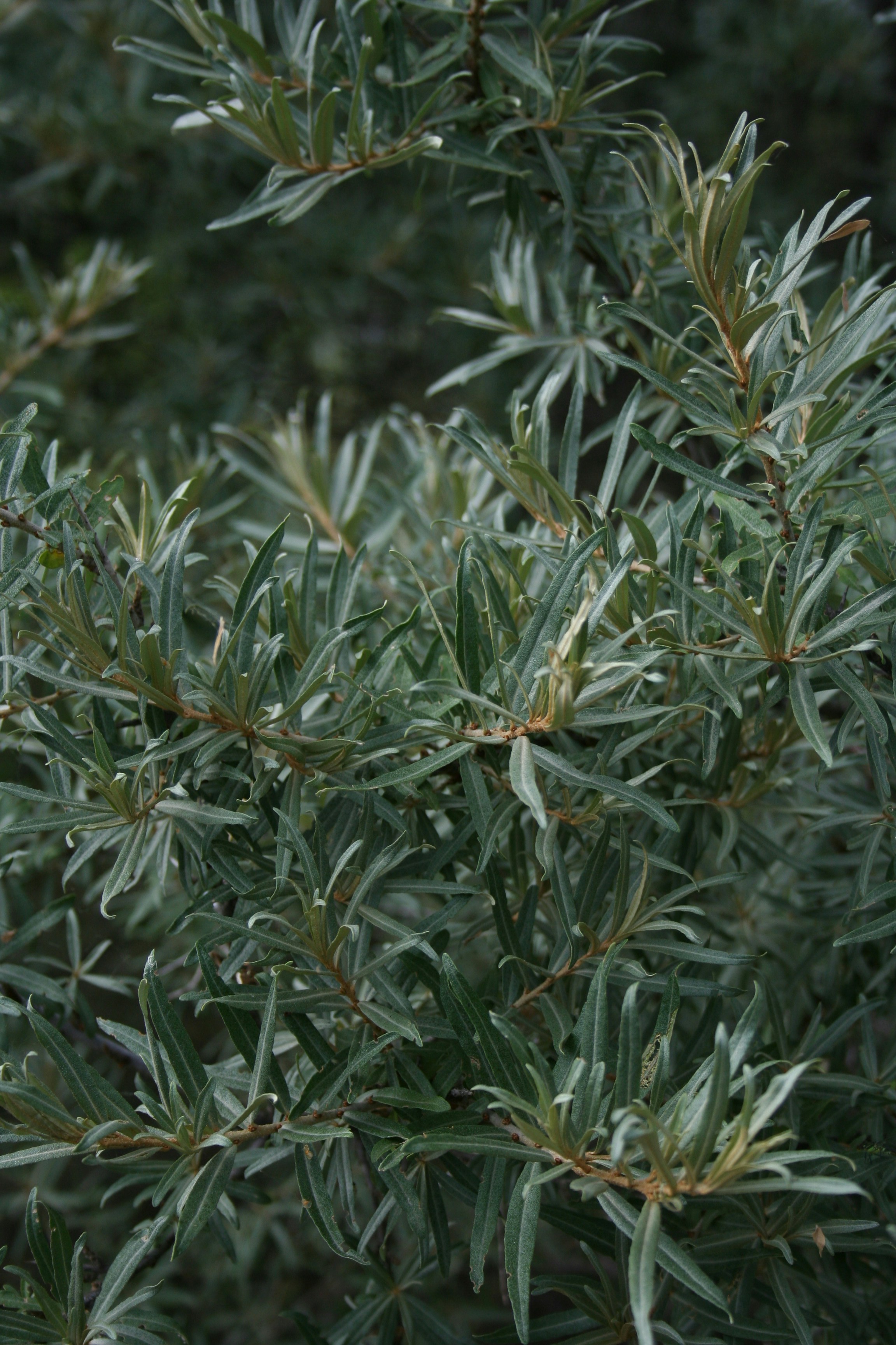 Photo by darrrrr_yaaaa