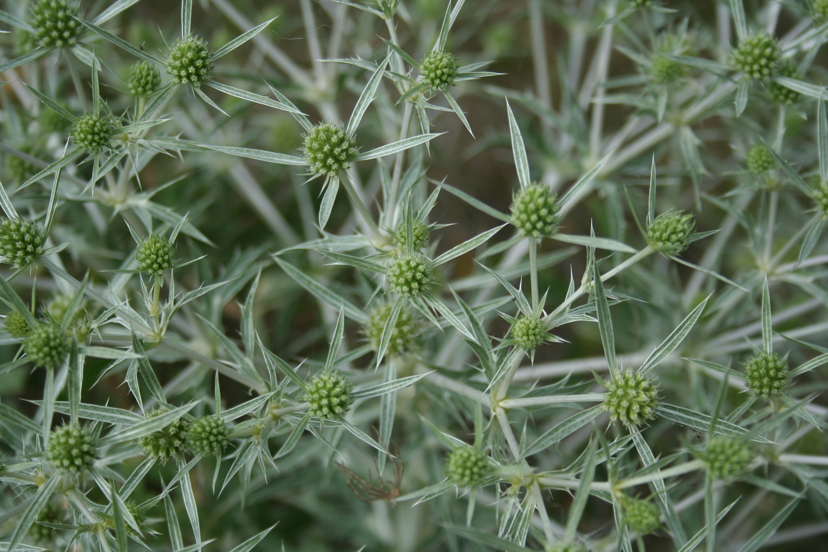 Photo by darrrrr_yaaaa