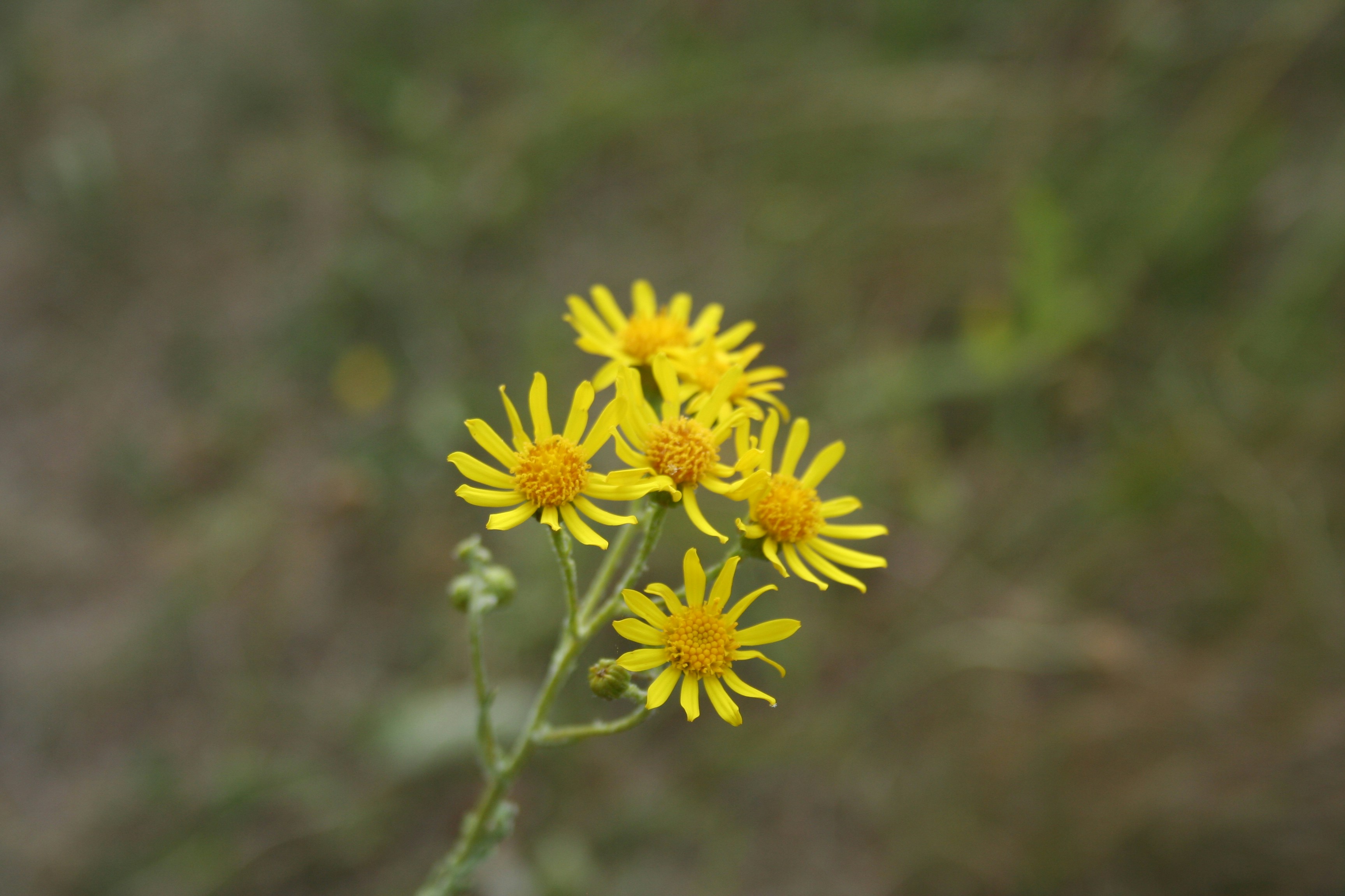 Photo by darrrrr_yaaaa