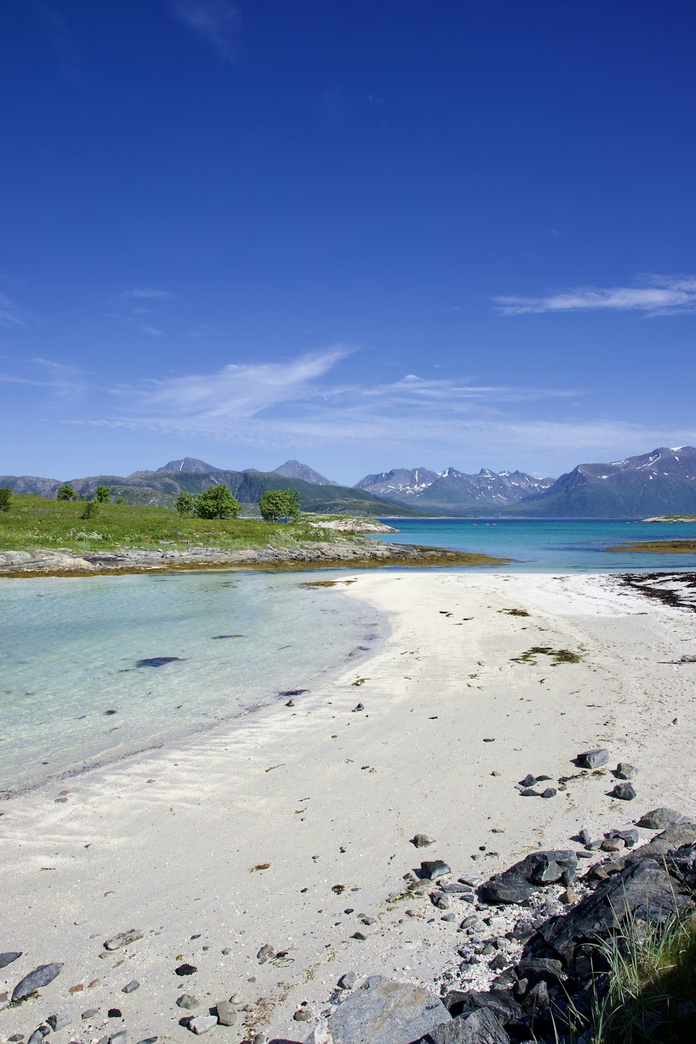 a beach with rocks and water