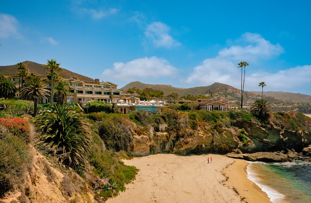 a beach with trees and buildings