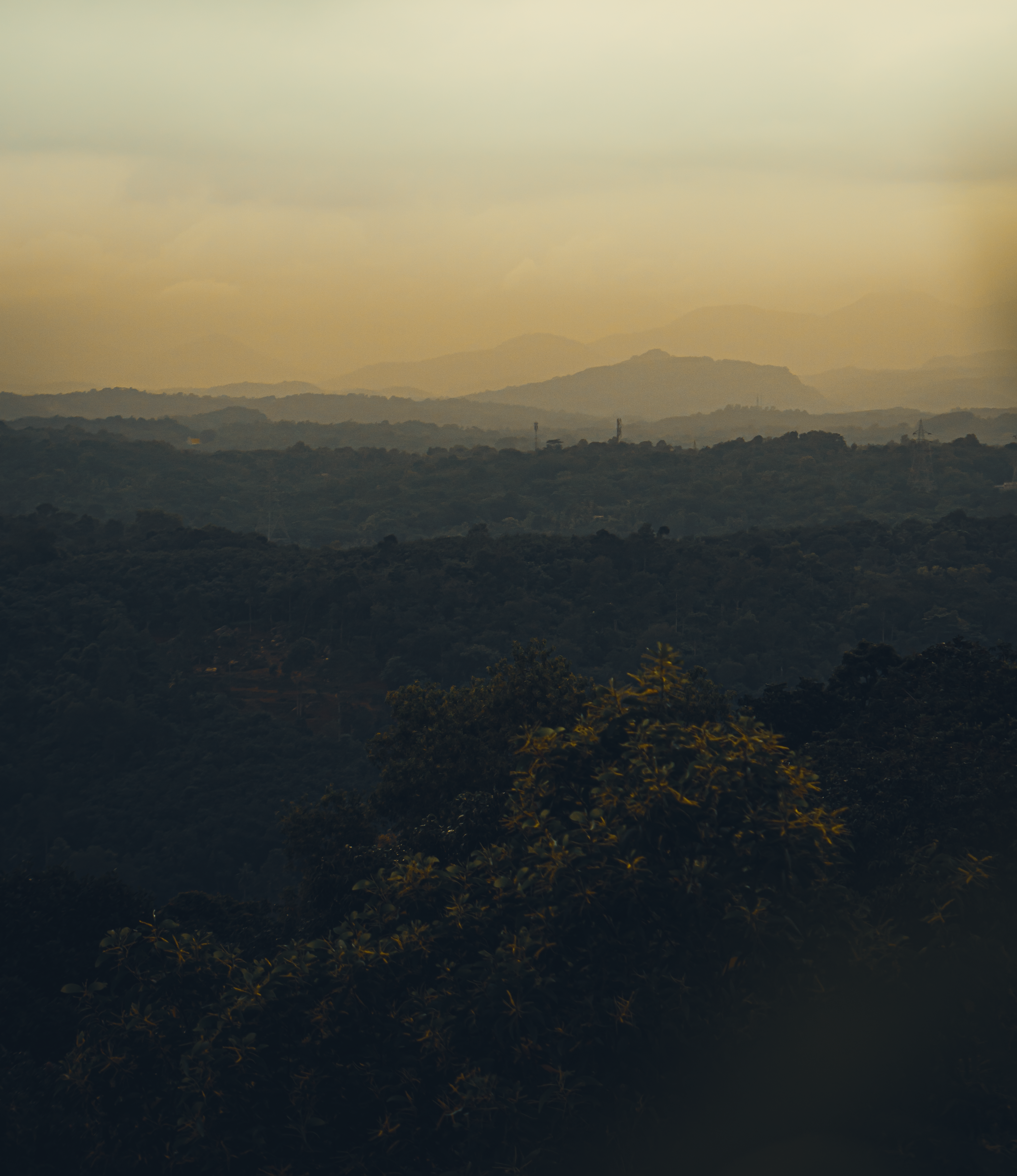 Photo by ctrleffive