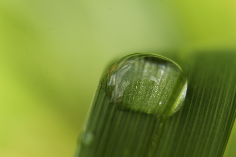 a close up of a drop of water