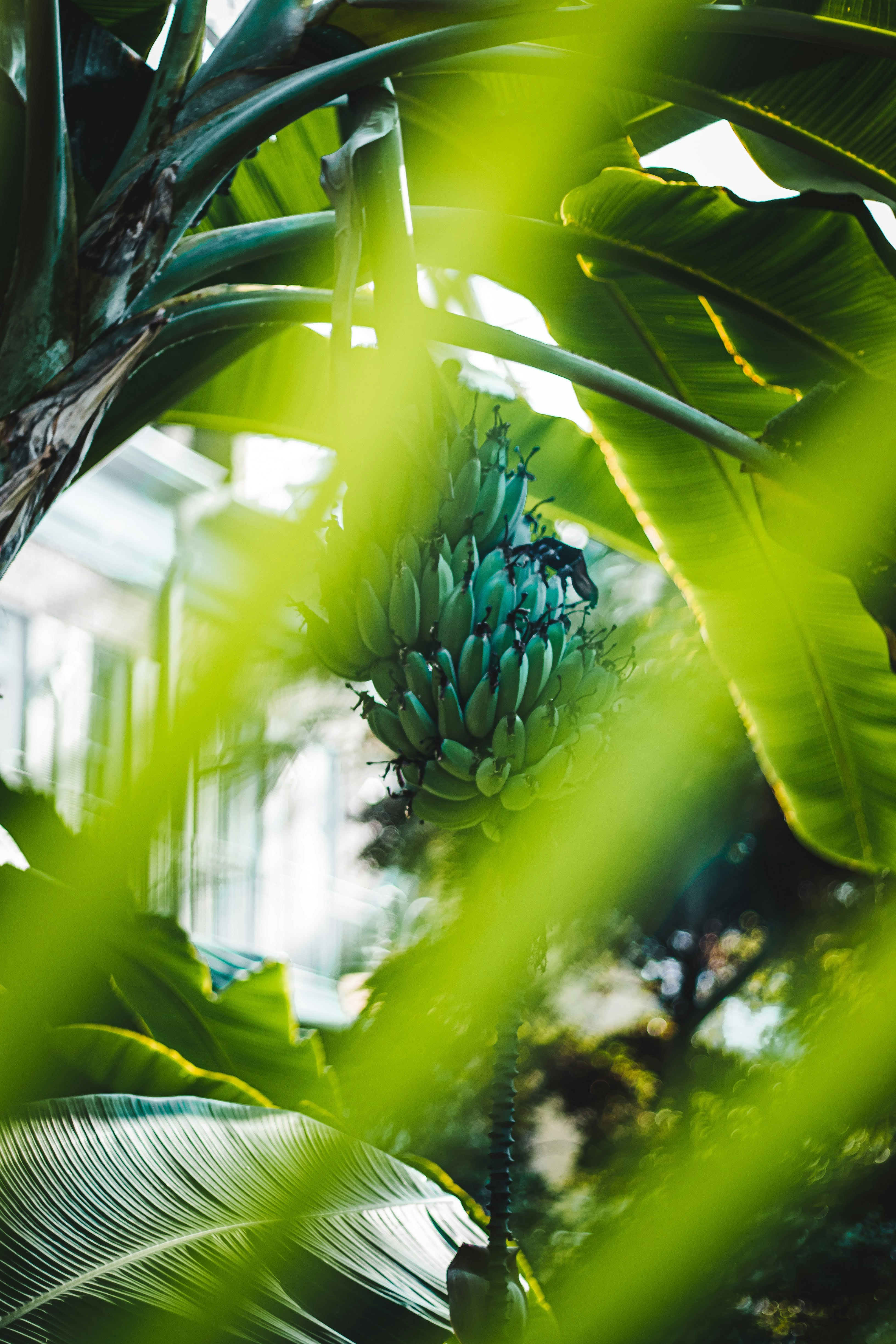 Photo by brice_cooper18