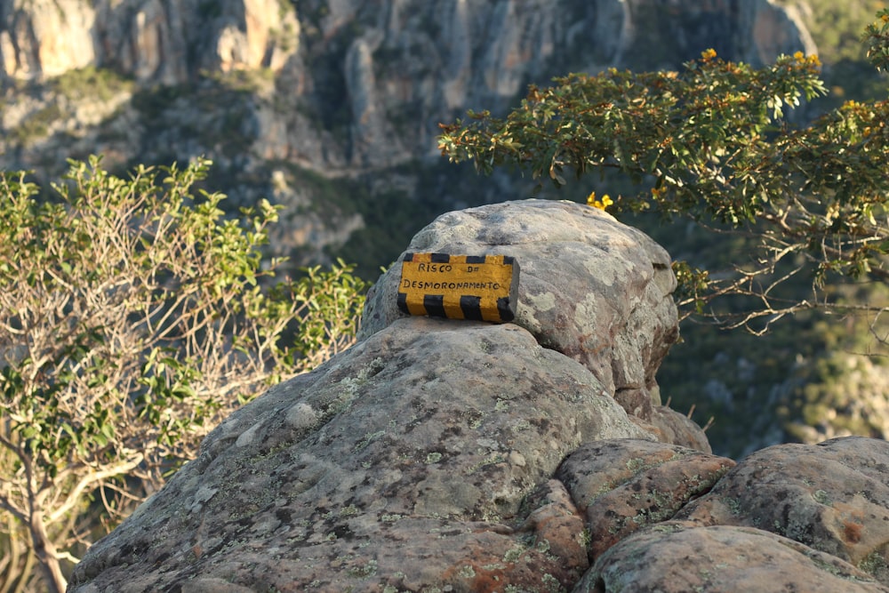 a yellow toy truck on a rock