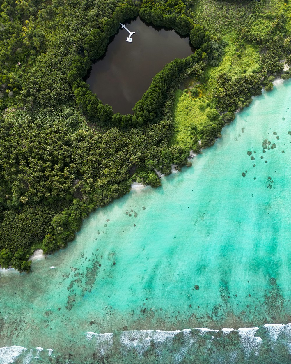 a body of water surrounded by trees