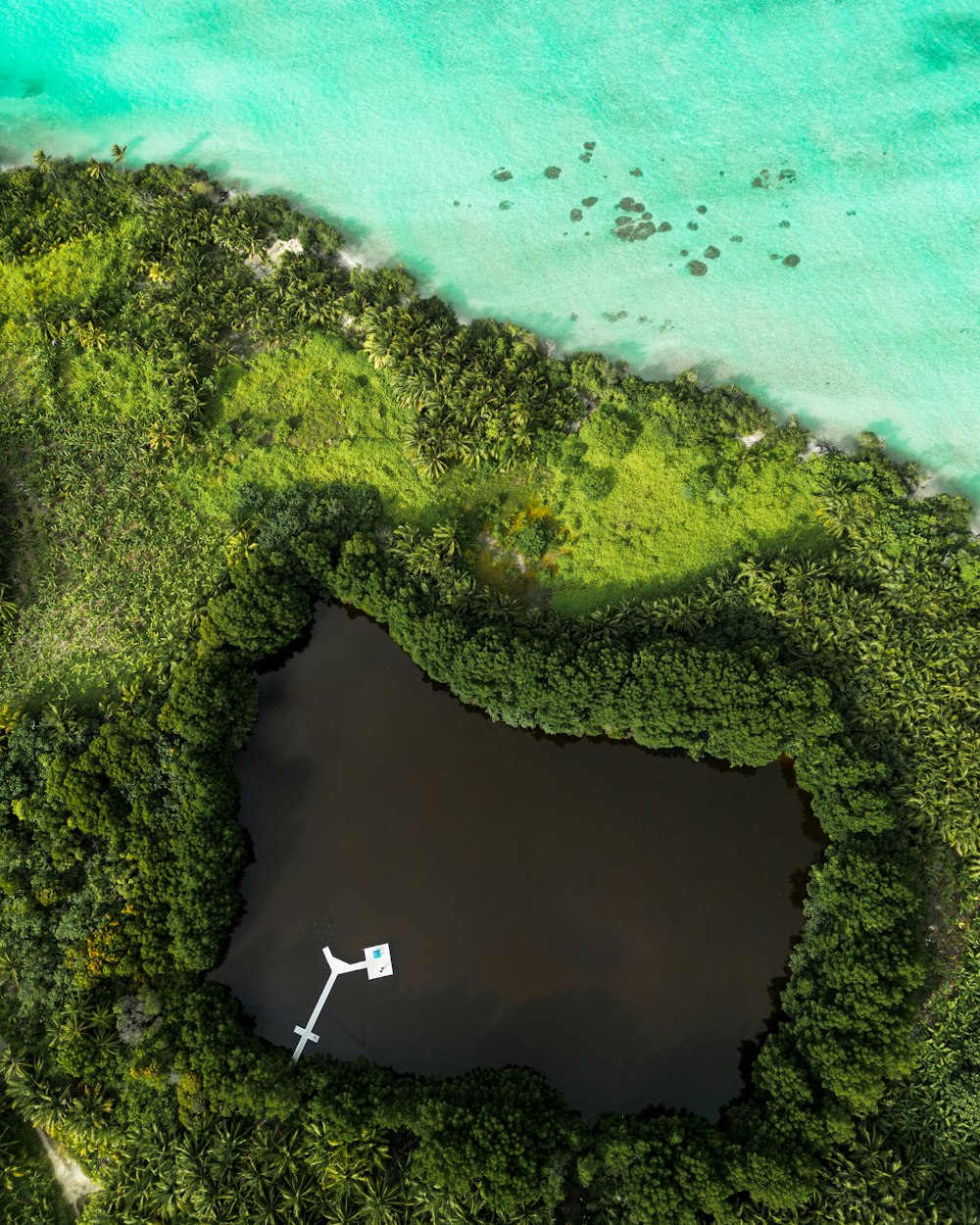 an aerial view of a beach