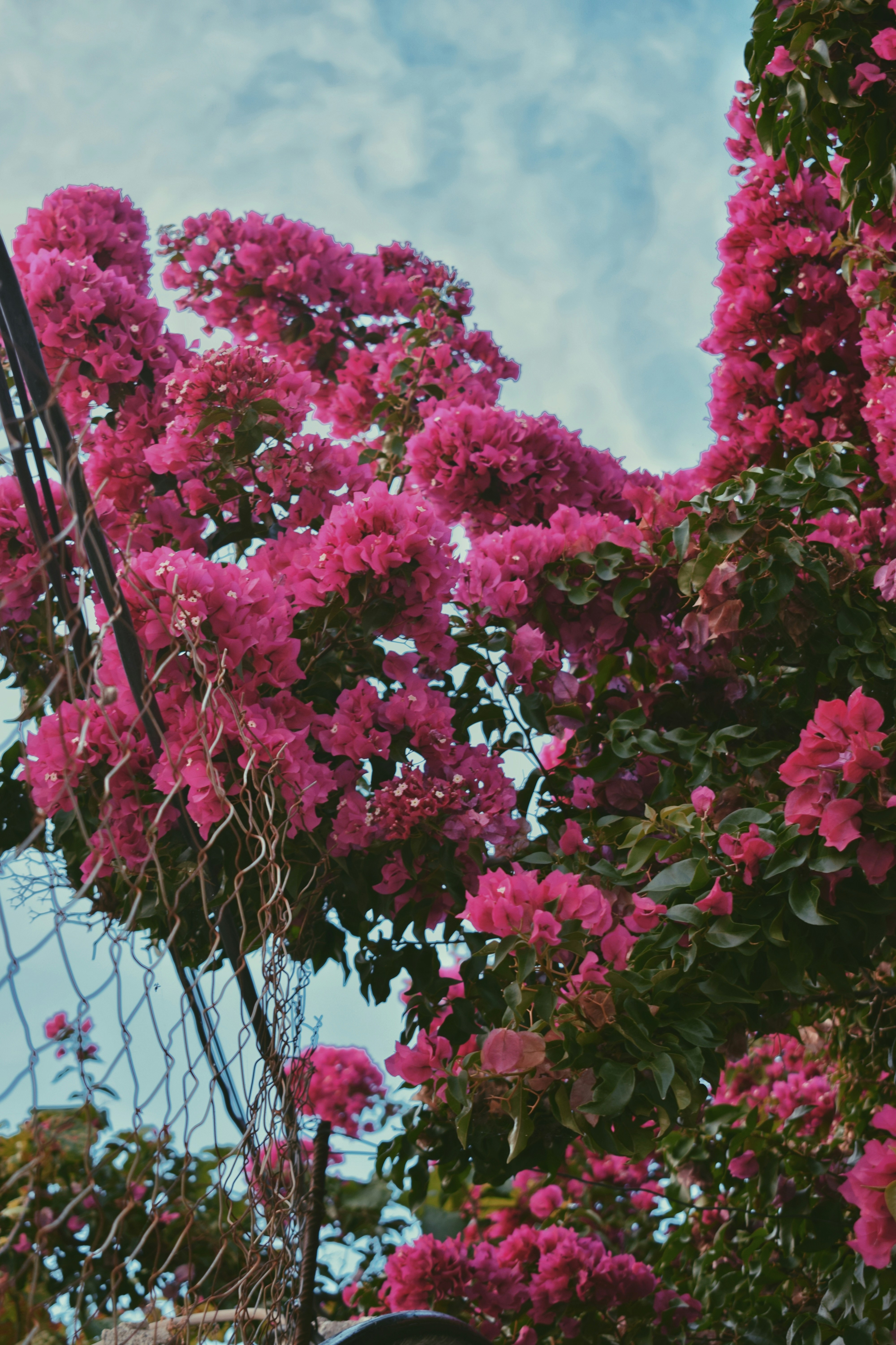 Photo by xhiliana7