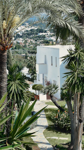 a white building with palm trees