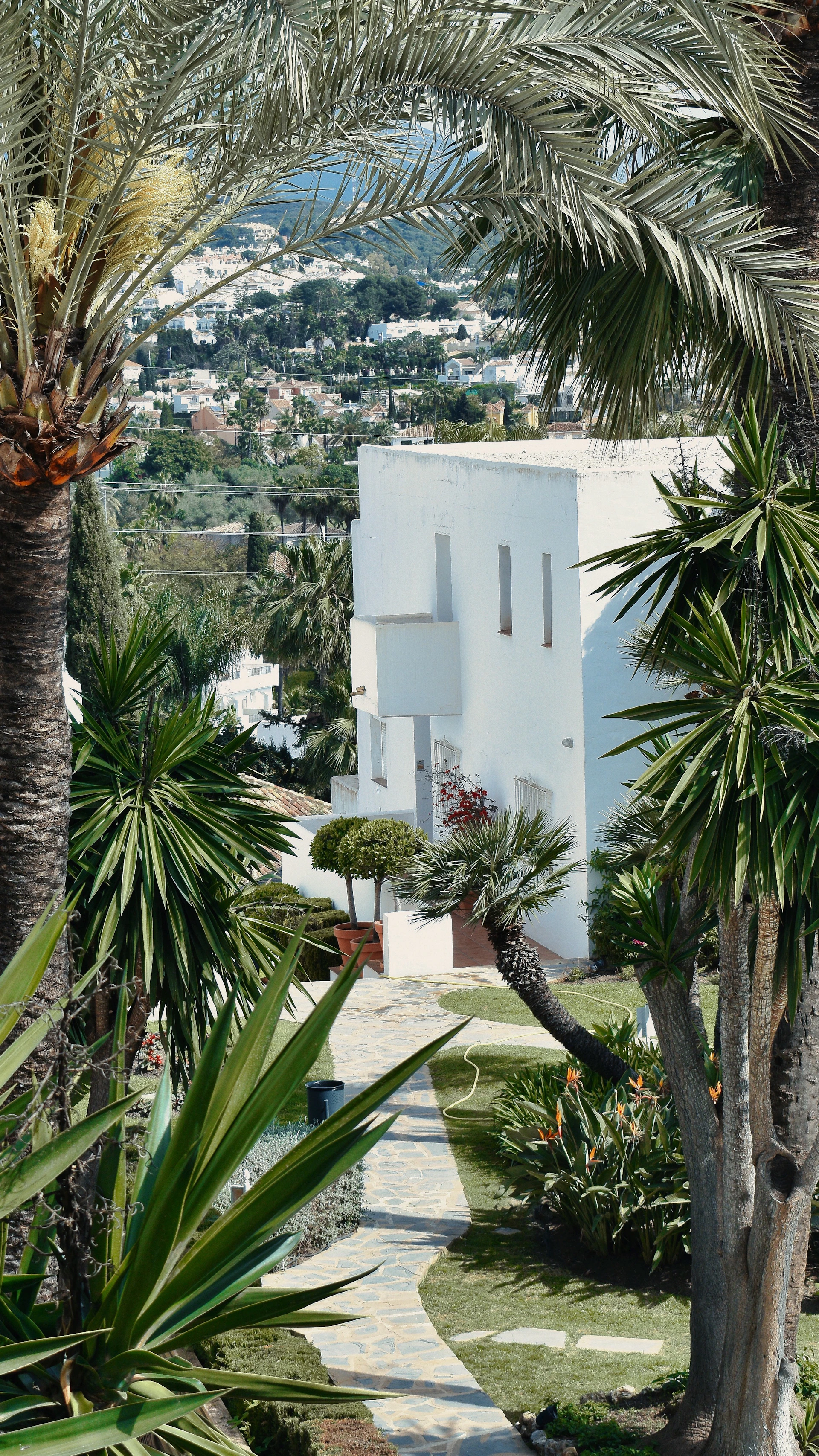 a white building with palm trees