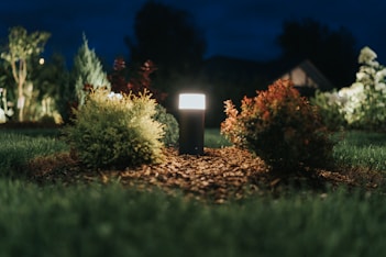“Nighttime view of a flower bed illuminated by garden lighting, Hedgie Wilder’s outdoor featurest
