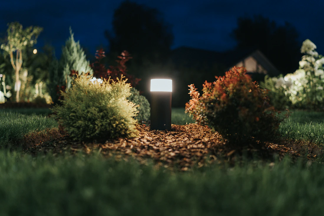 Uplighting on landscaping at night