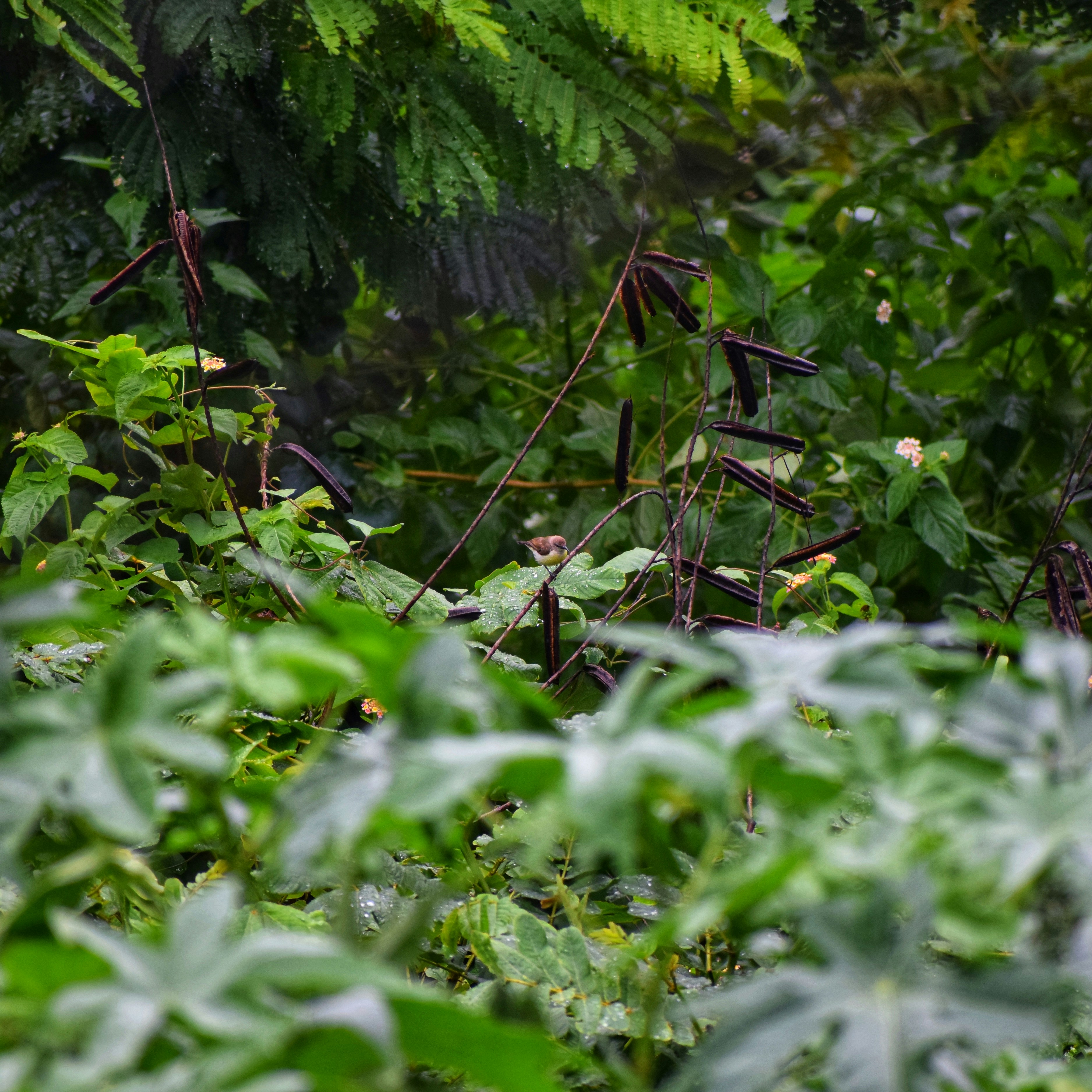 Photo by theushakiran