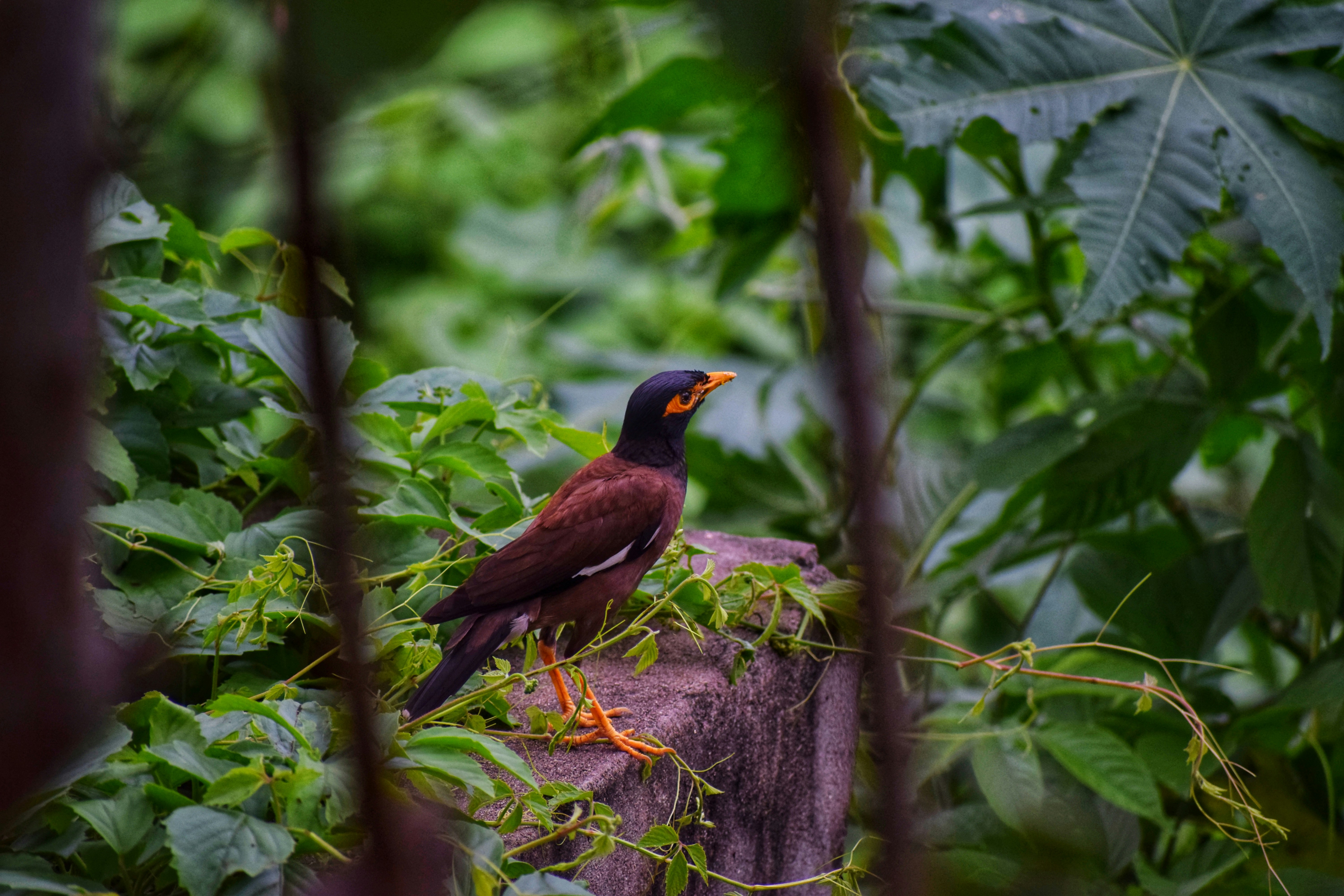 Photo by theushakiran