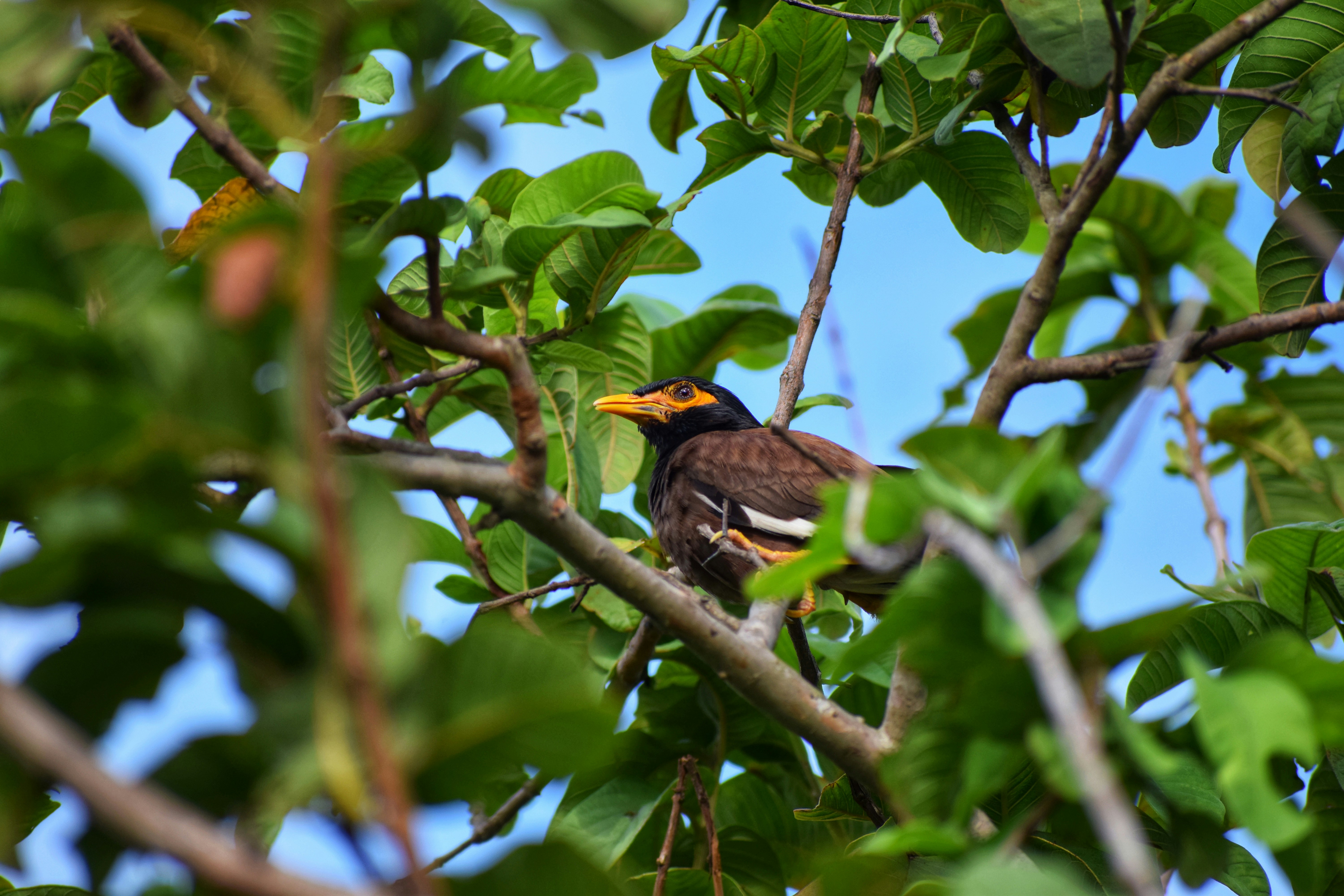 Photo by theushakiran