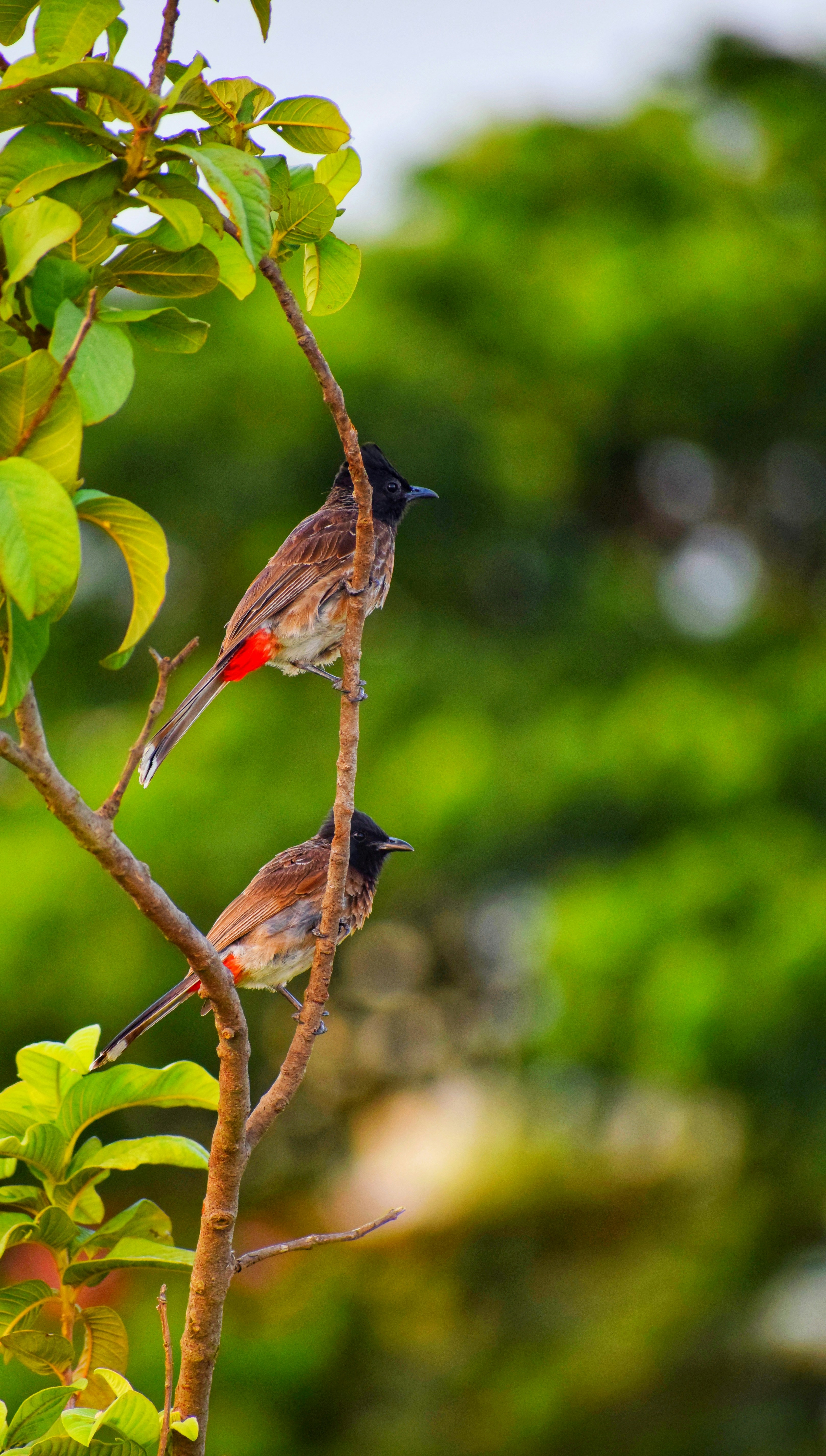 Photo by theushakiran