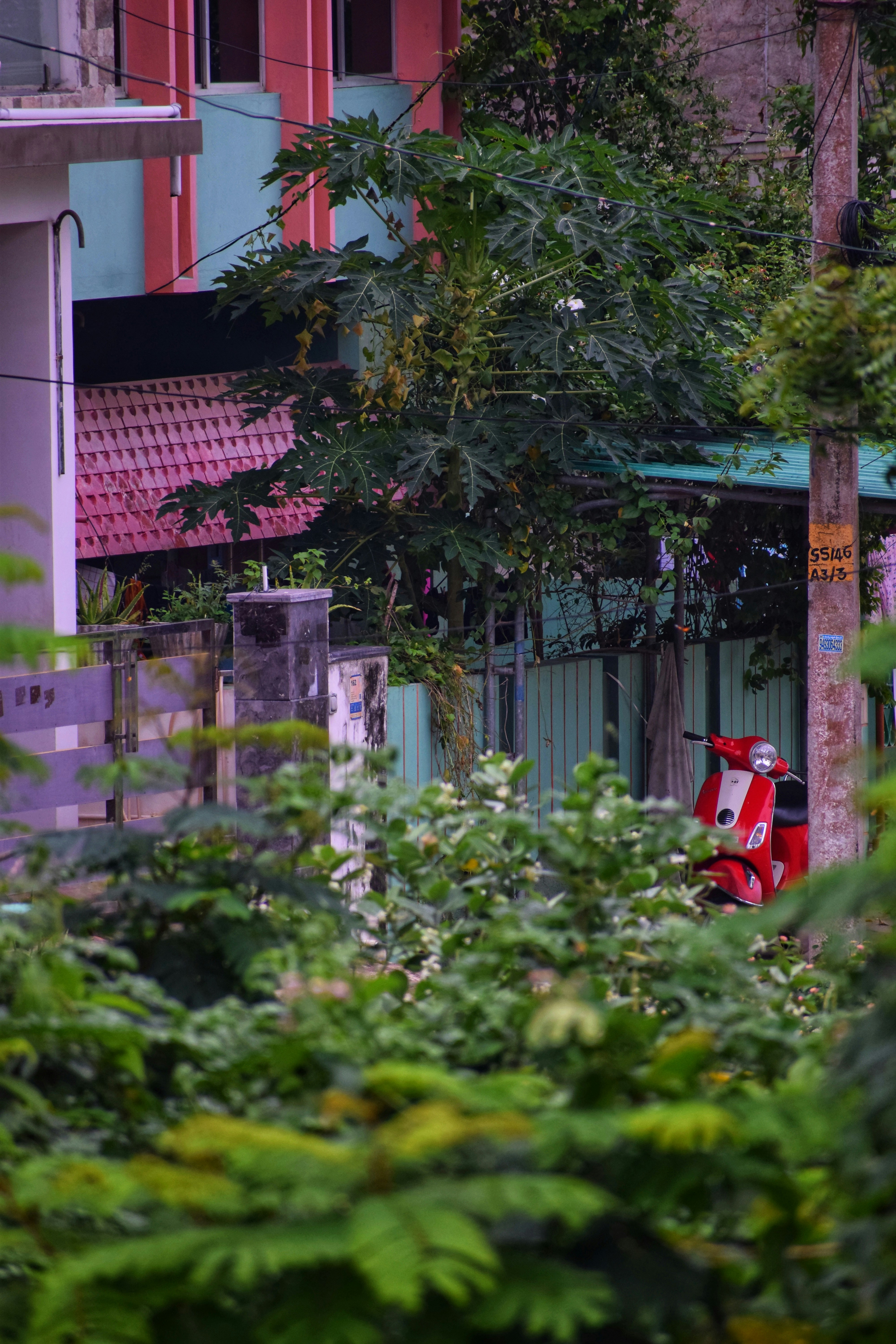 Photo by theushakiran