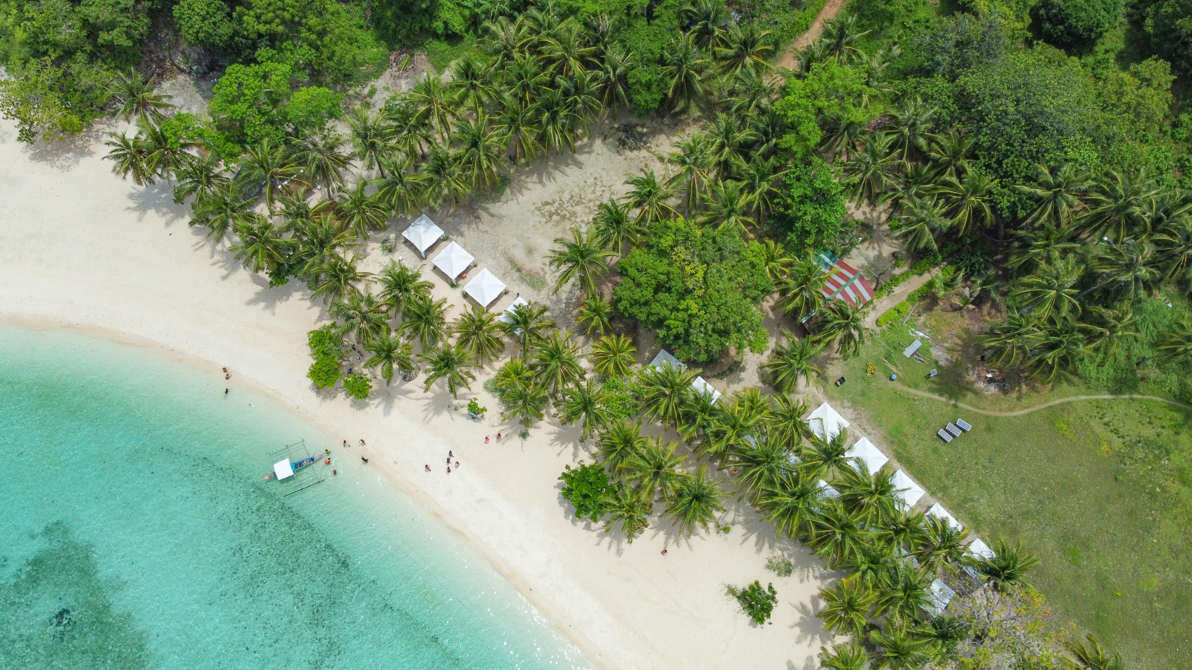 A beach with trees and buildings photo – Free Beach Image on Unsplash