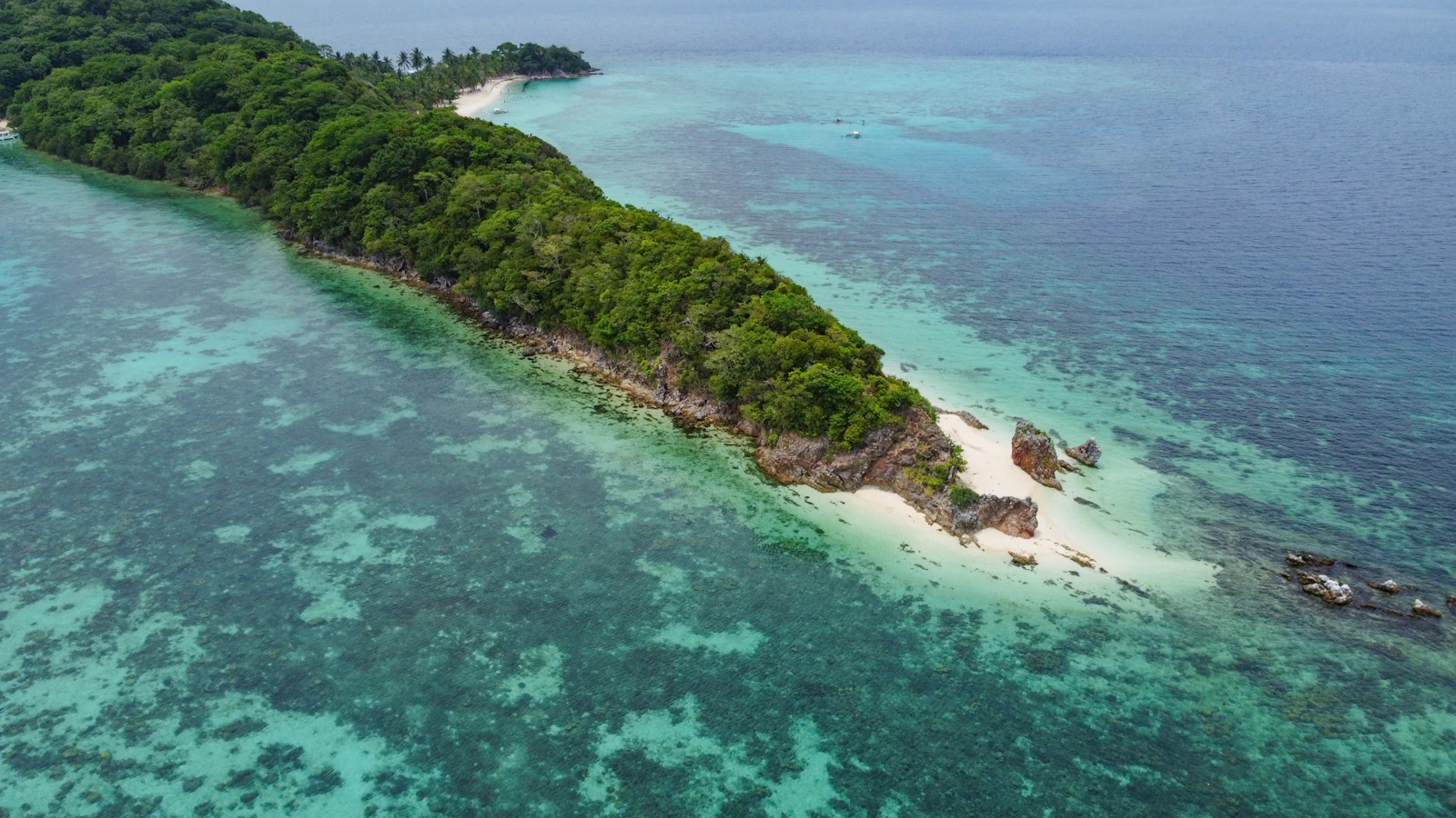 Aerial view of a Palawan beach with palm trees and clear turquoise water