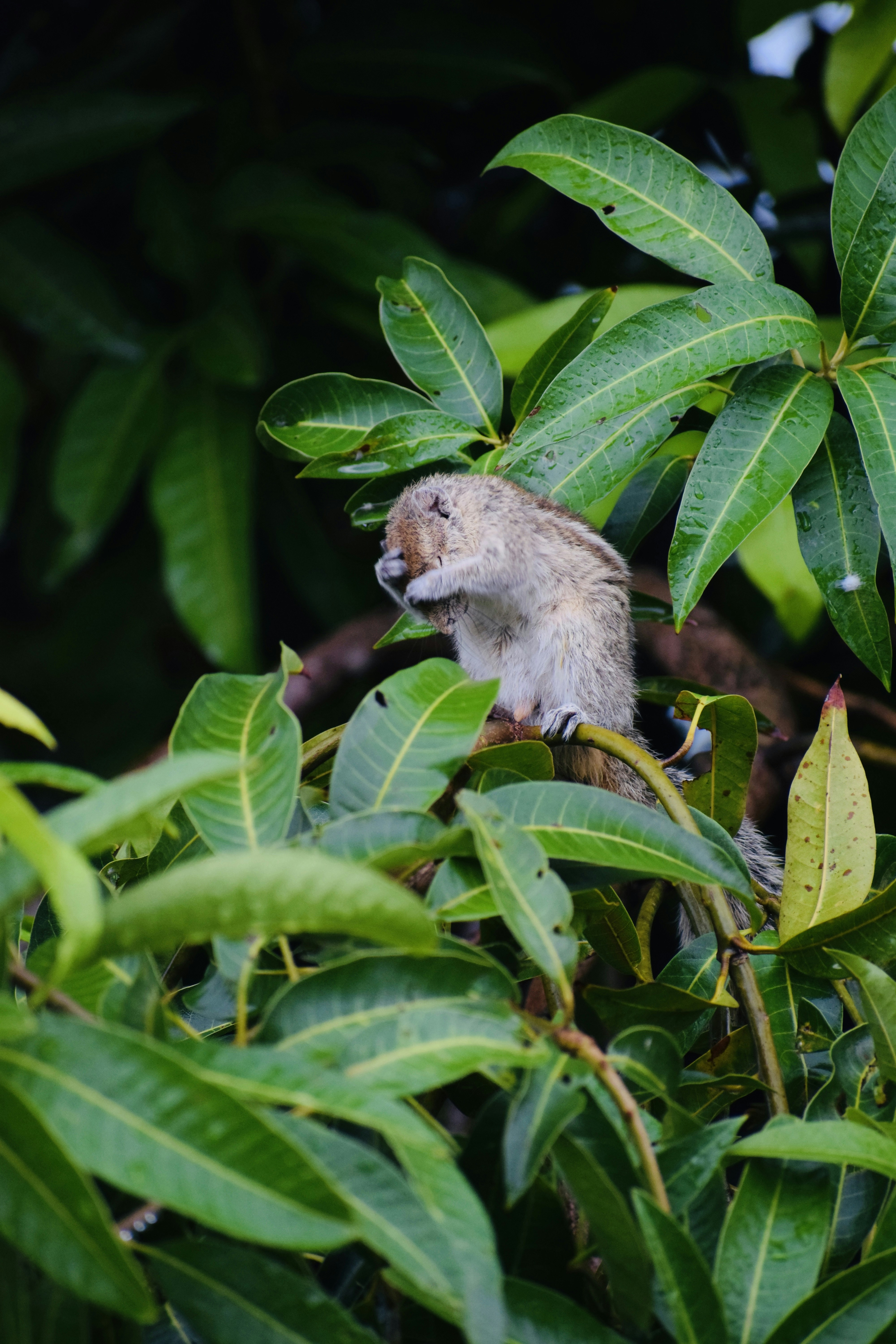 Photo by theushakiran