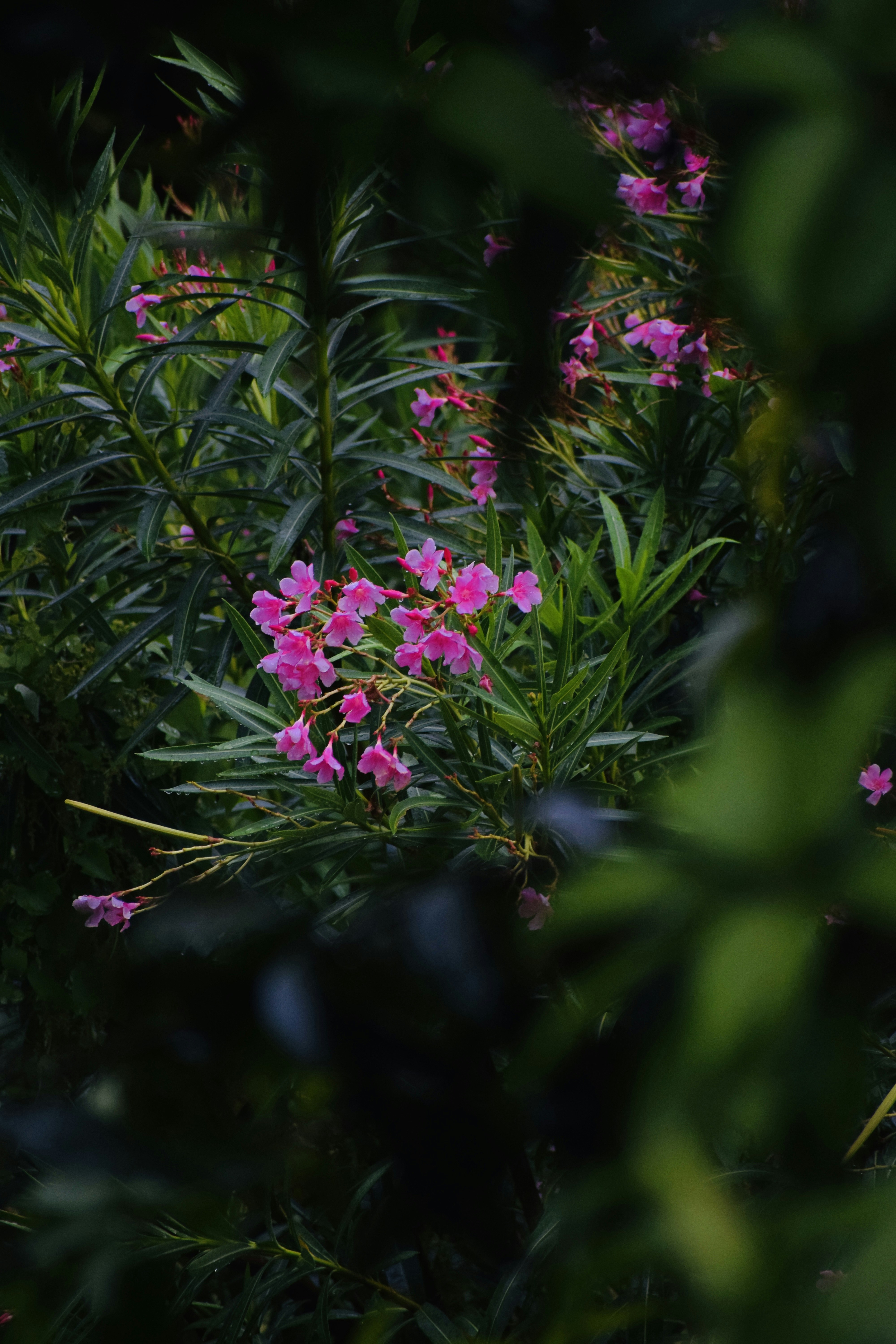 Photo by theushakiran