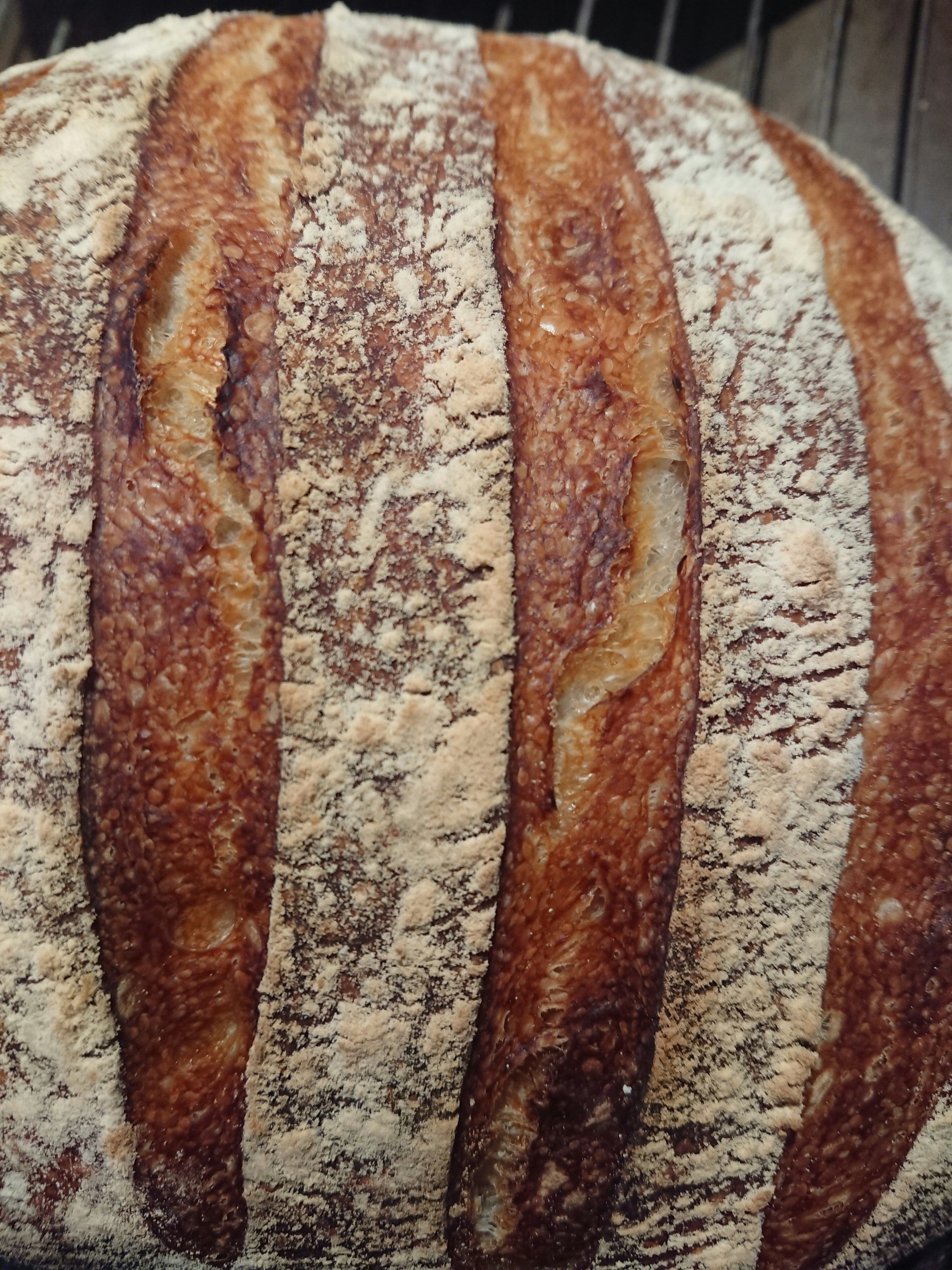 Golden sourdough bread loaf on wooden board with flour dusting, warm bakery light, rustic setting