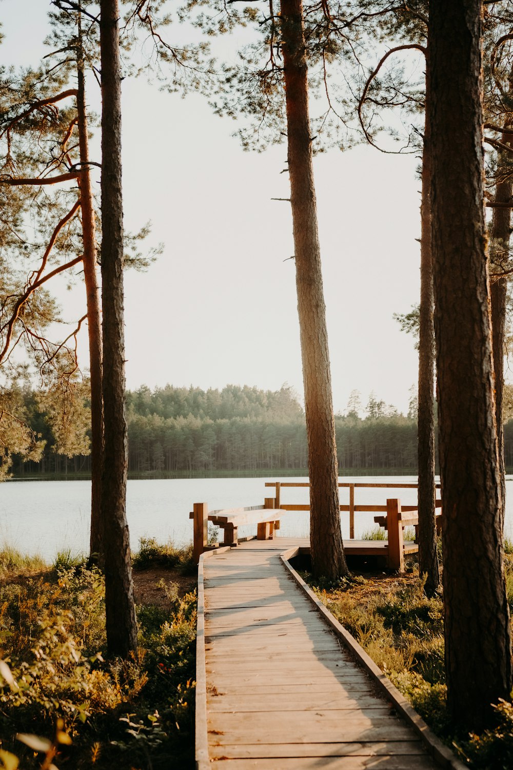 a wooden walkway over water