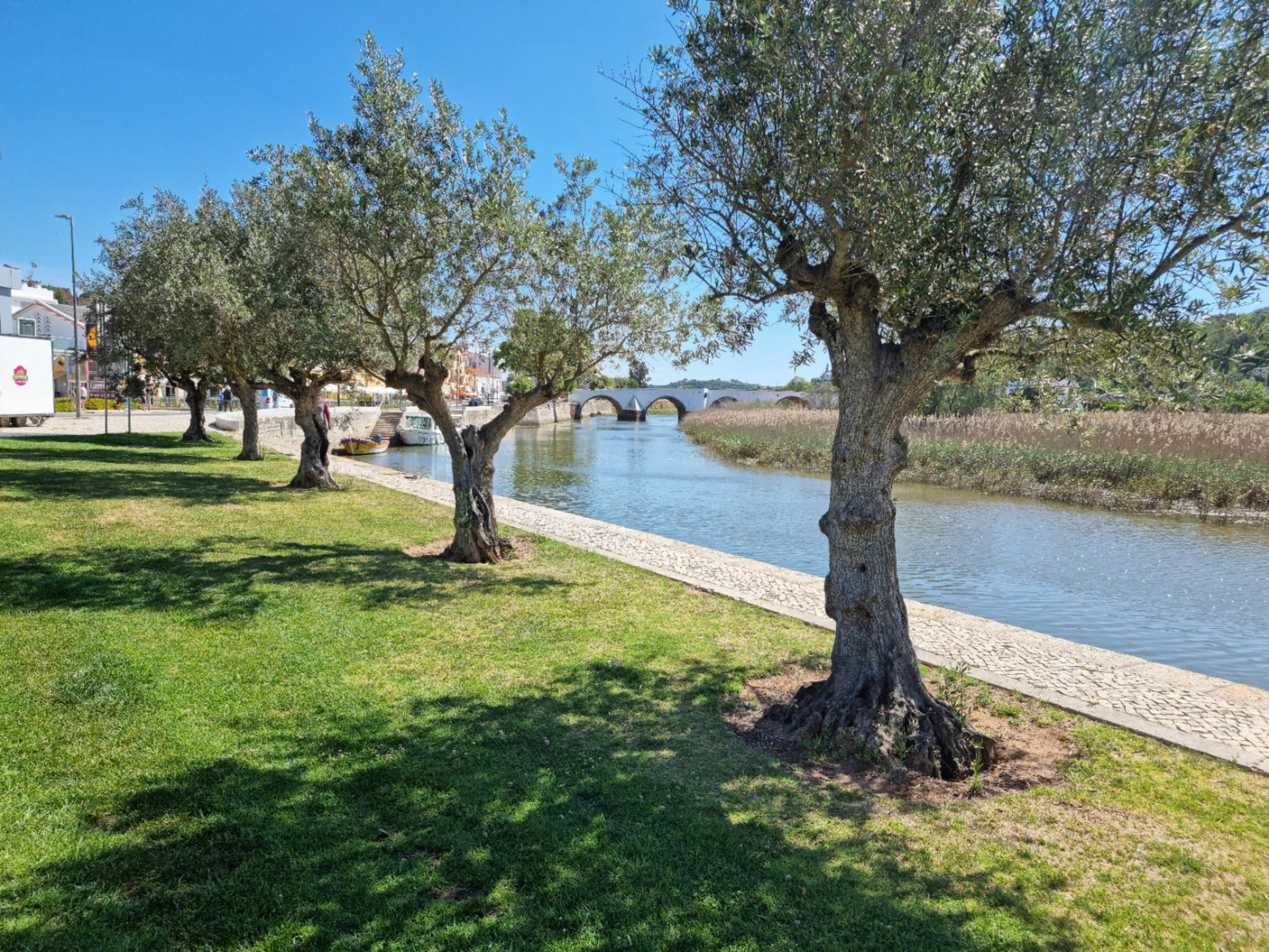 Image by Anthony R. via Unsplash