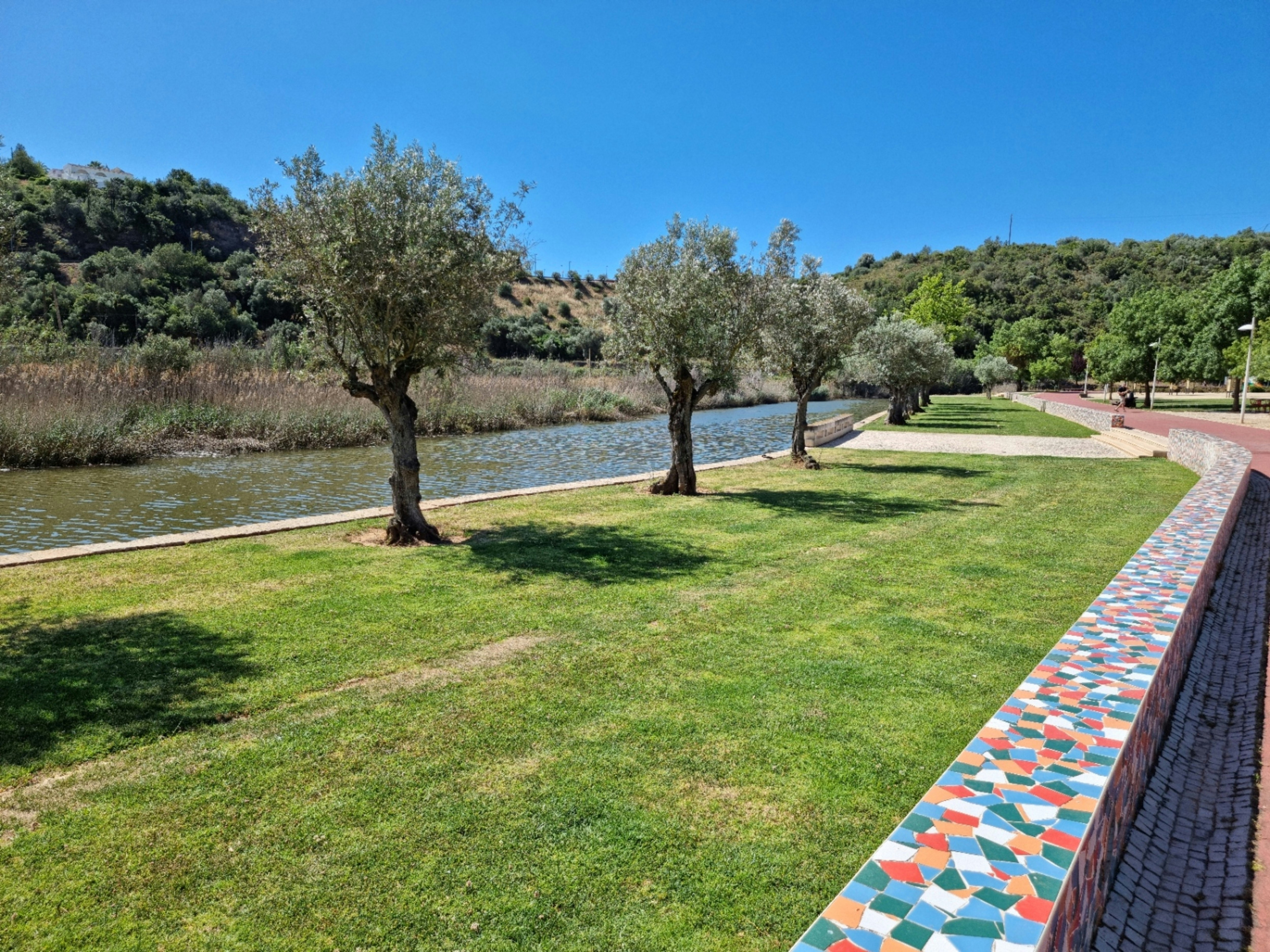 eine Rasenfläche mit einem Gewässer im Hintergrund