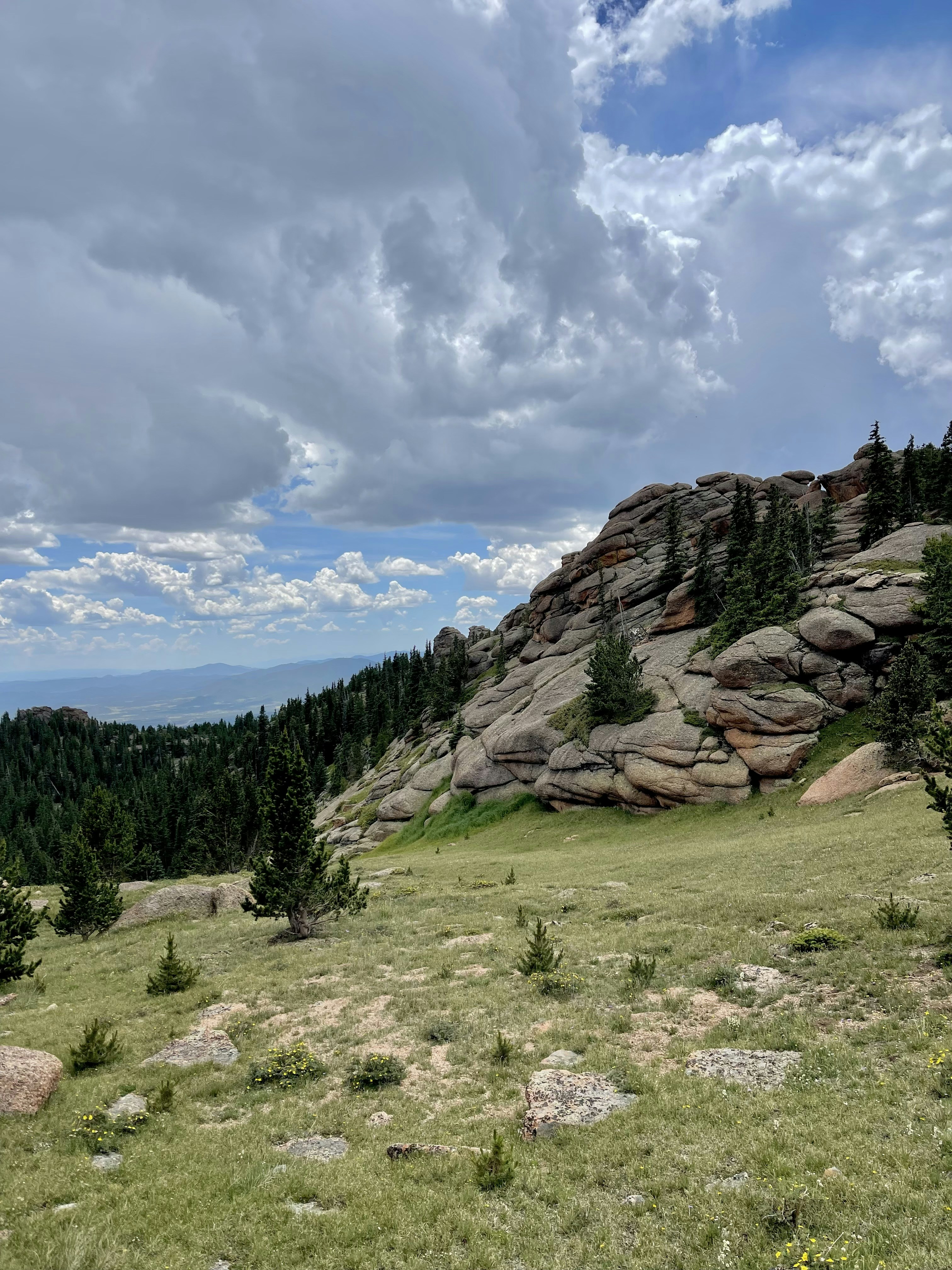 Photo by laitonbarbo