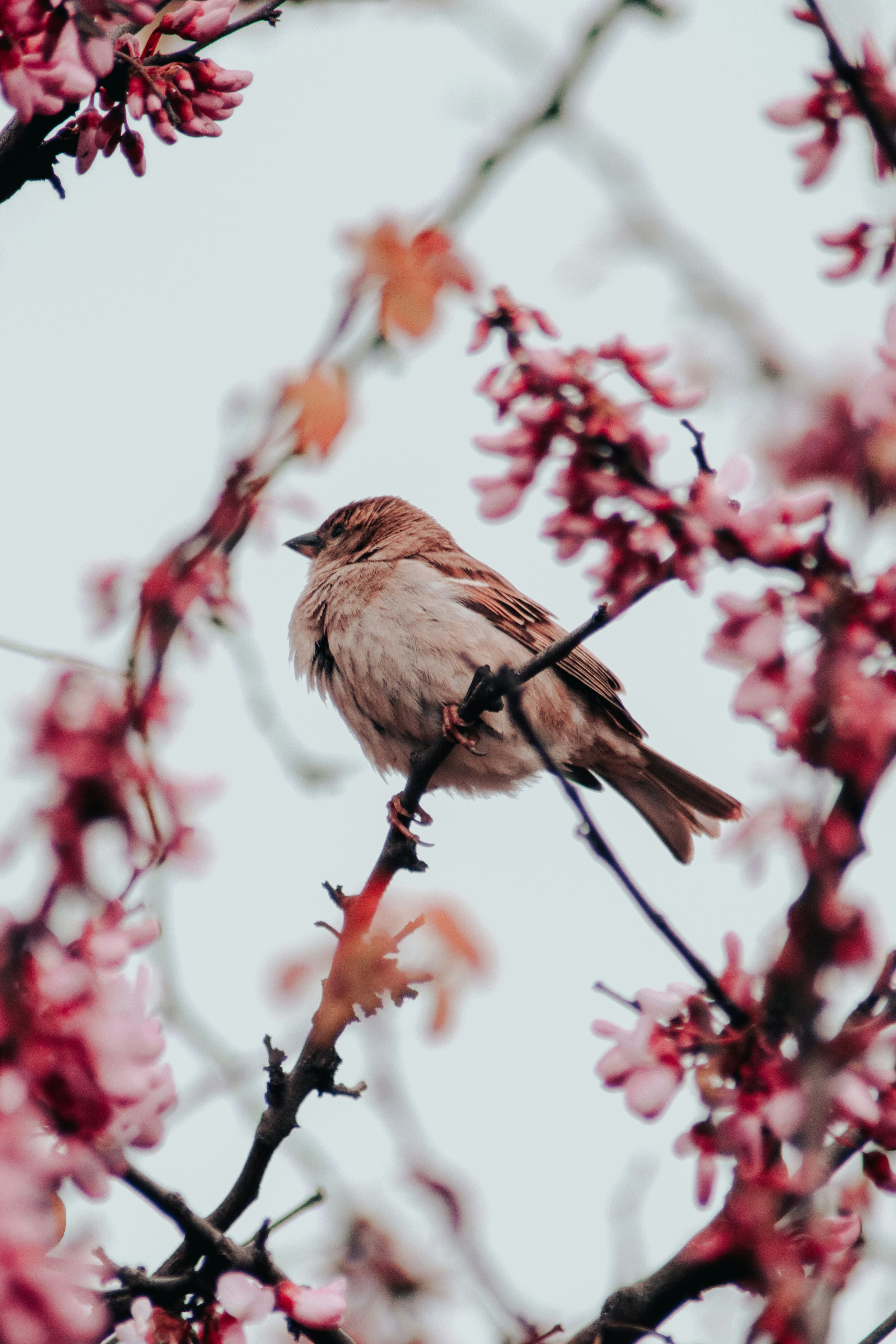 Photo by mutecevvil