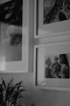 a group of pictures on a wall