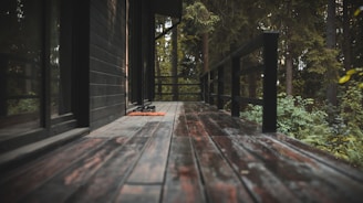 A wooden deck stretches alongside a modern dark-colored building, bordered by a black railing. Lush green foliage and tall trees fill the surrounding natural landscape. A pair of shoes rests on an orange mat near a glass door.