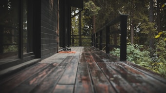 A wooden deck stretches alongside a modern dark-colored building, bordered by a black railing. Lush green foliage and tall trees fill the surrounding natural landscape. A pair of shoes rests on an orange mat near a glass door.
