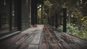 A wooden deck stretches alongside a modern dark-colored building, bordered by a black railing. Lush green foliage and tall trees fill the surrounding natural landscape. A pair of shoes rests on an orange mat near a glass door.