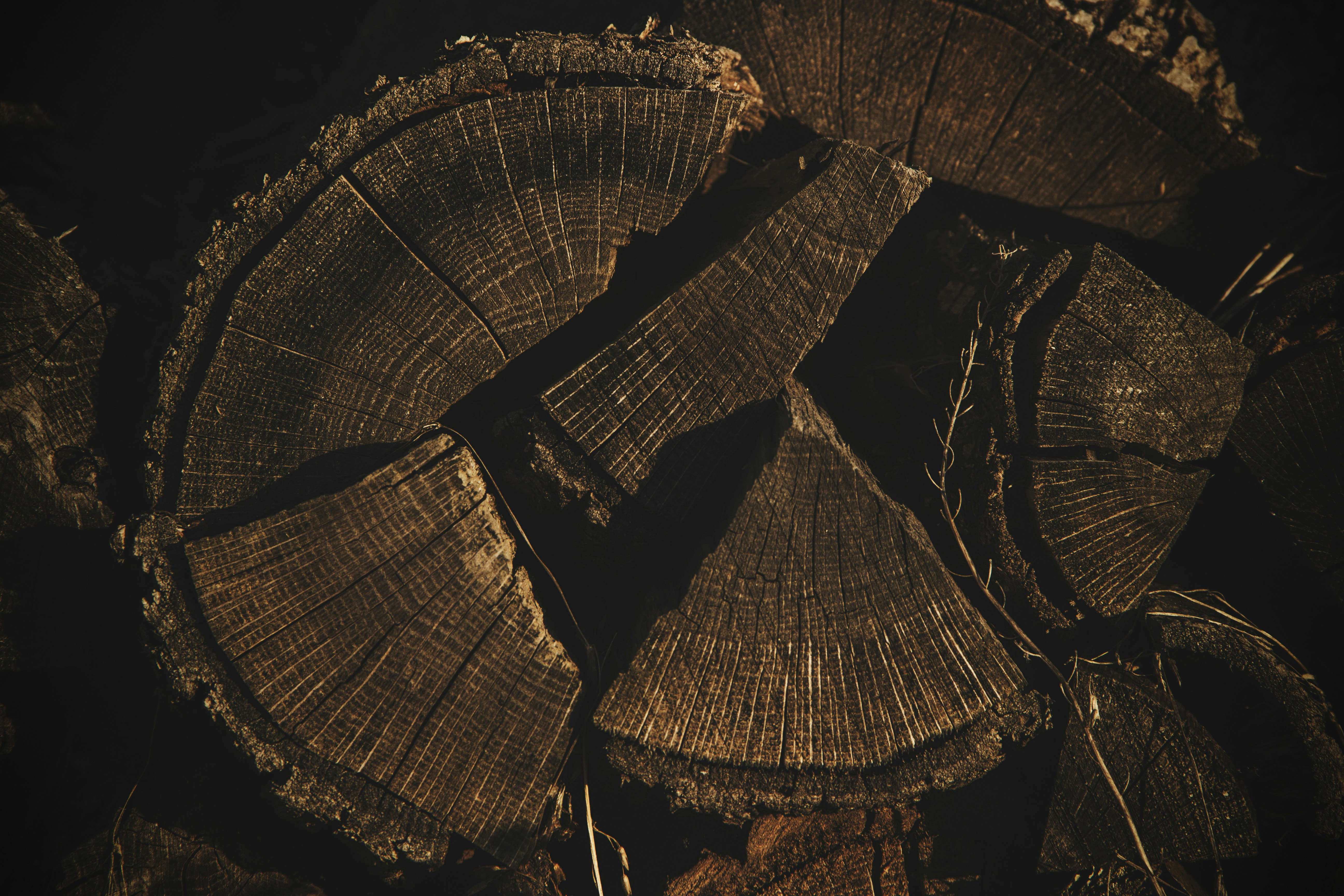 Photo by miloslopusina