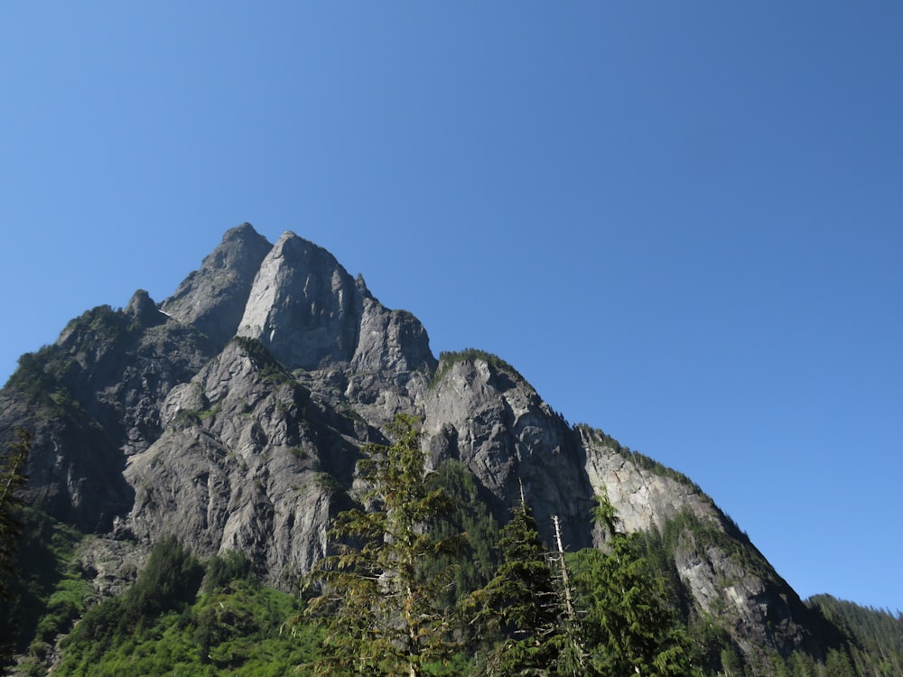 a rocky mountain with trees