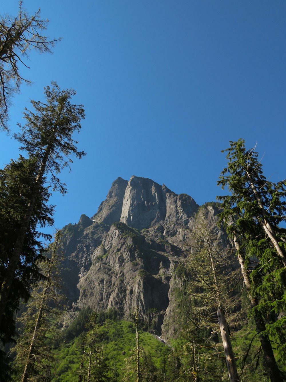 a rocky mountain with trees