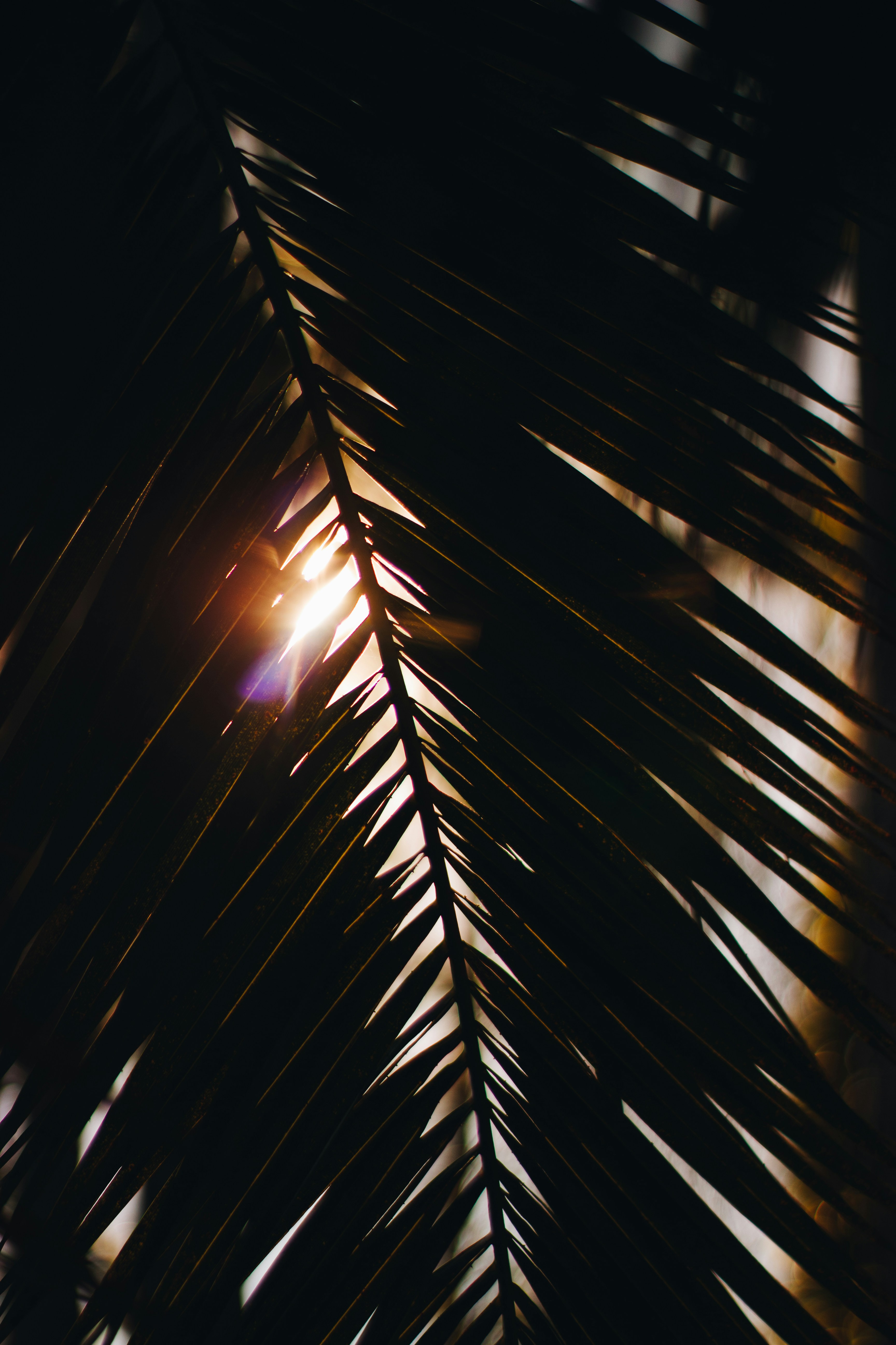 고층 건물의 클로즈업