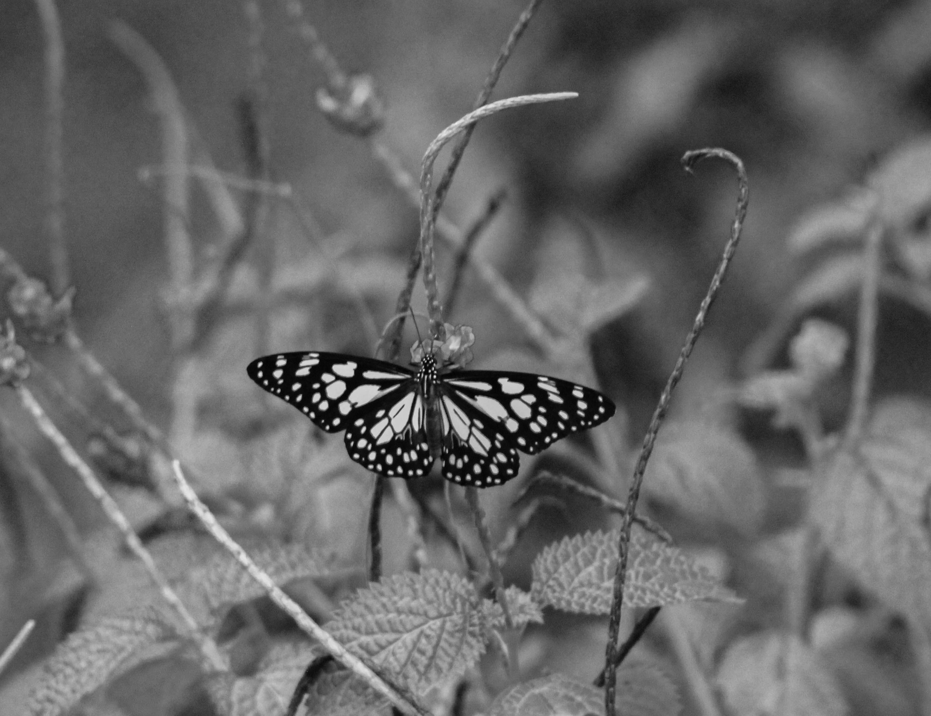 Unsplash 추천 이미지