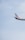 a plane flying in the sky