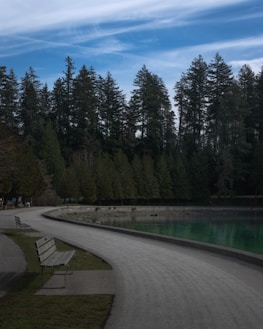 A serene landscape with a walking path, encouraging physical activity and mental relaxation.