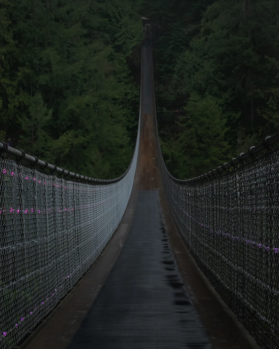 Vancouver City and Capilano Suspension Bridge Tour