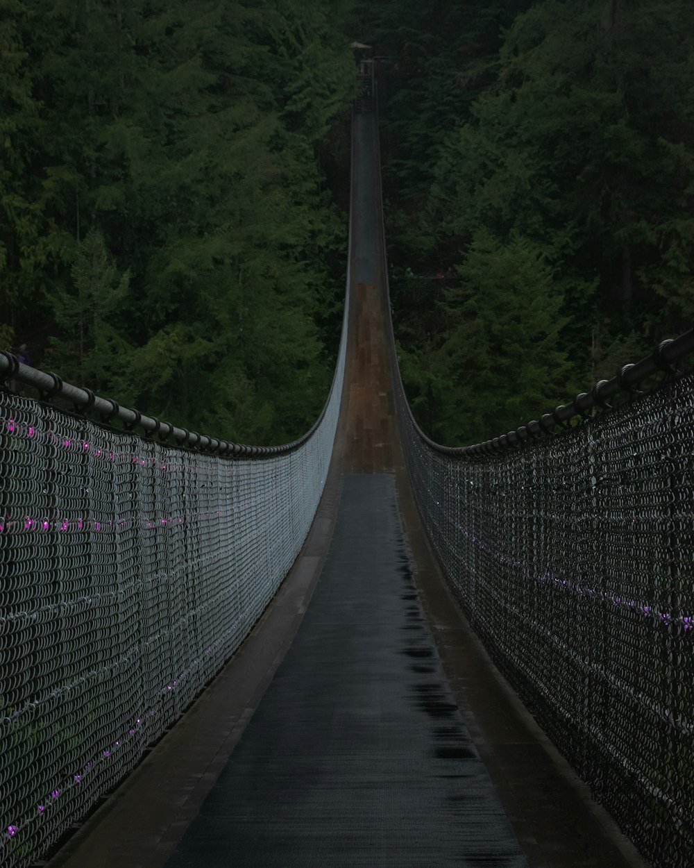 Capilano Suspension Bridge with a long metal railing
