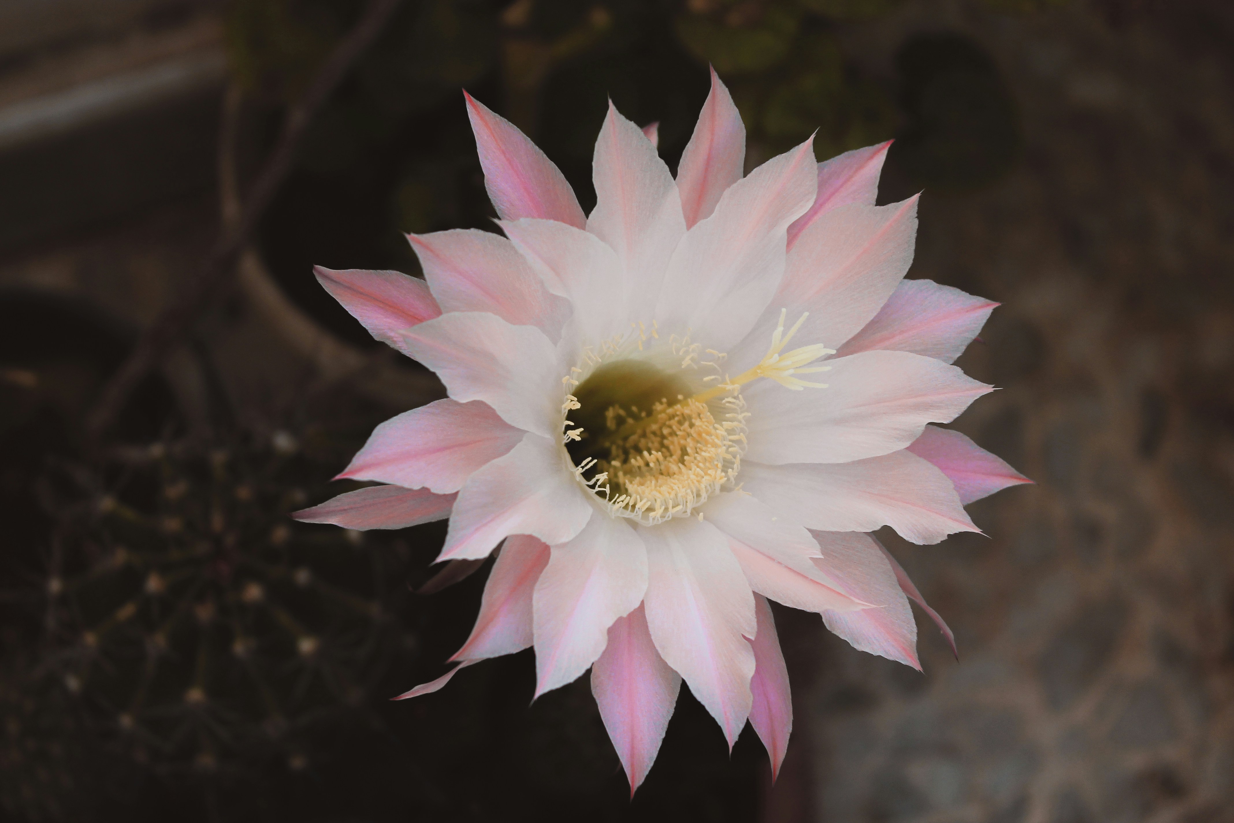 Photo by hadialyousfi