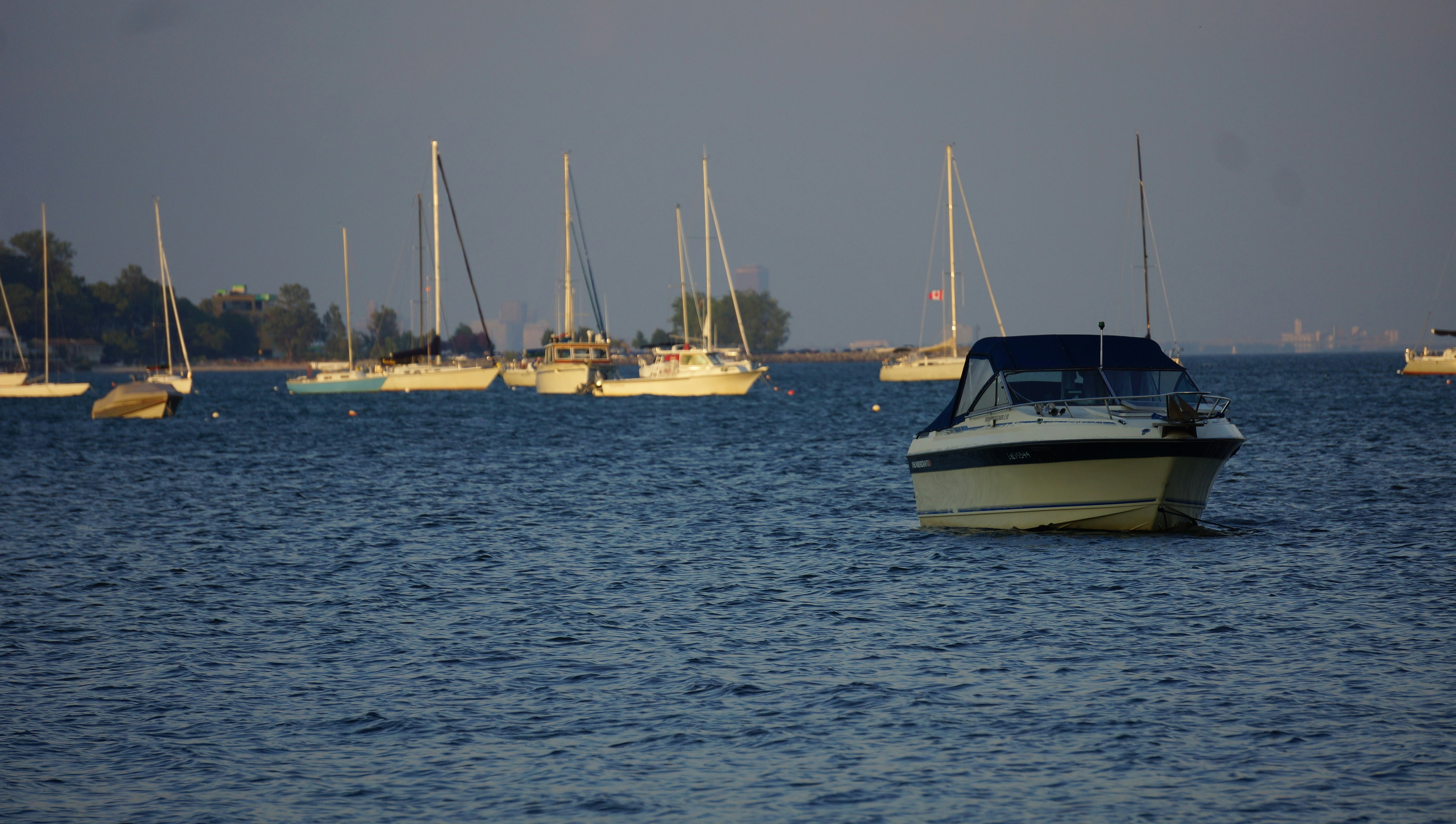 Photo by stevengbrown