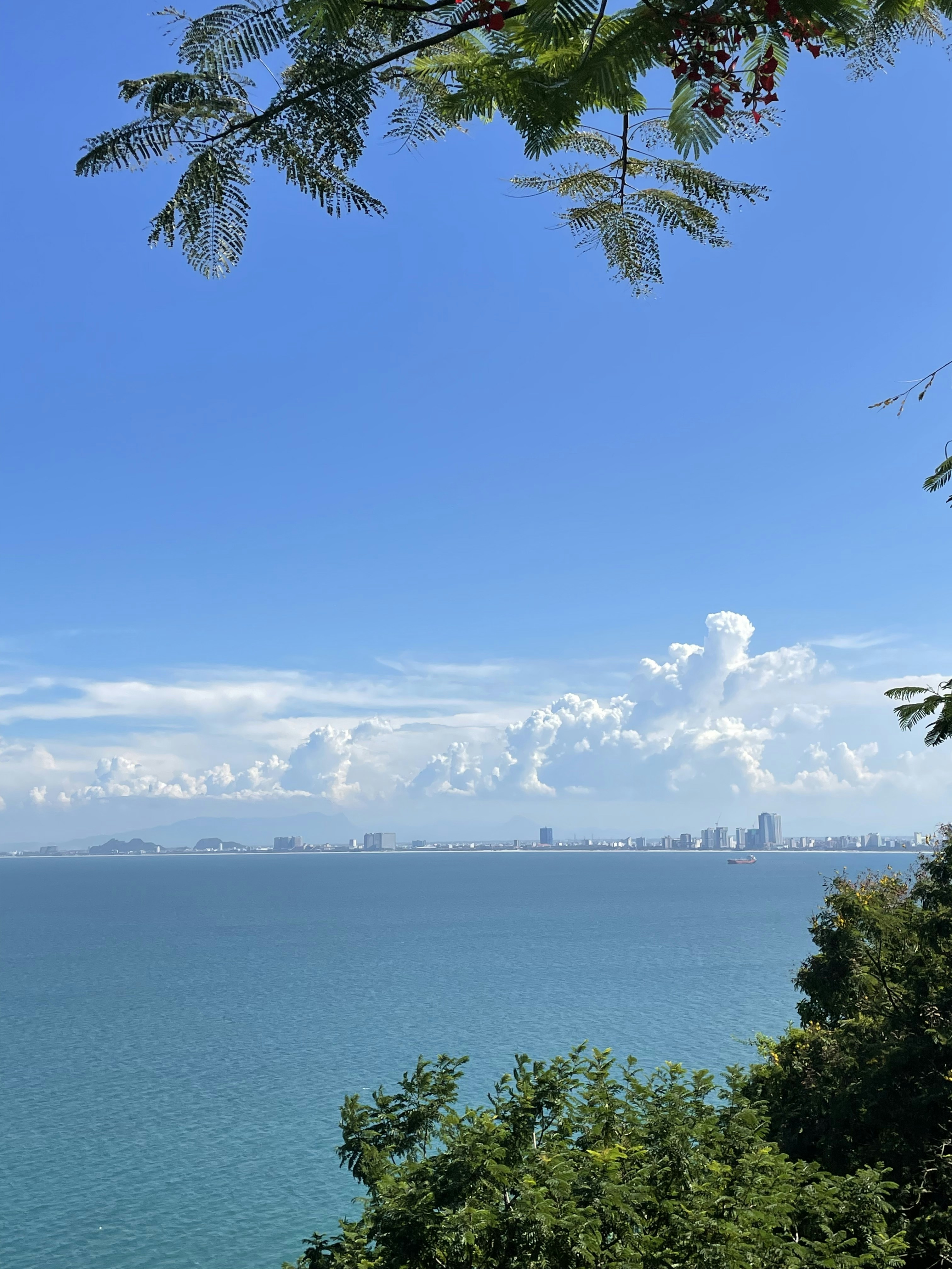 Photo by maiquynhtruong